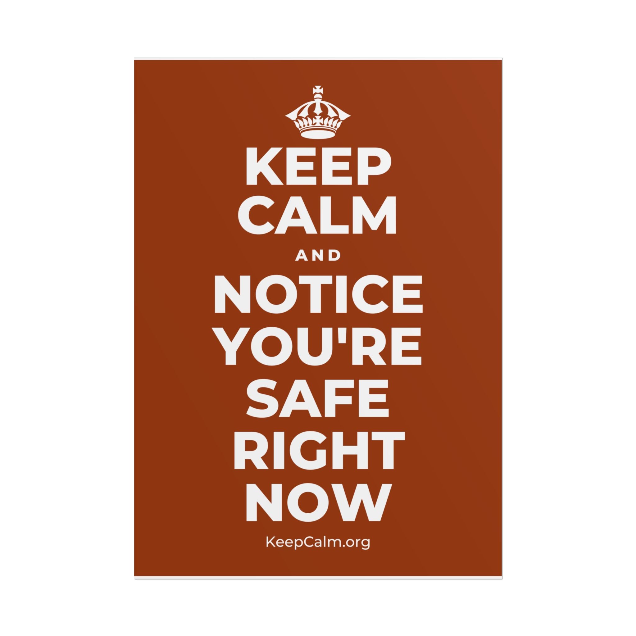 KEEP CALM AND NOTICE YOU'RE SAFE RIGHT NOW Poster