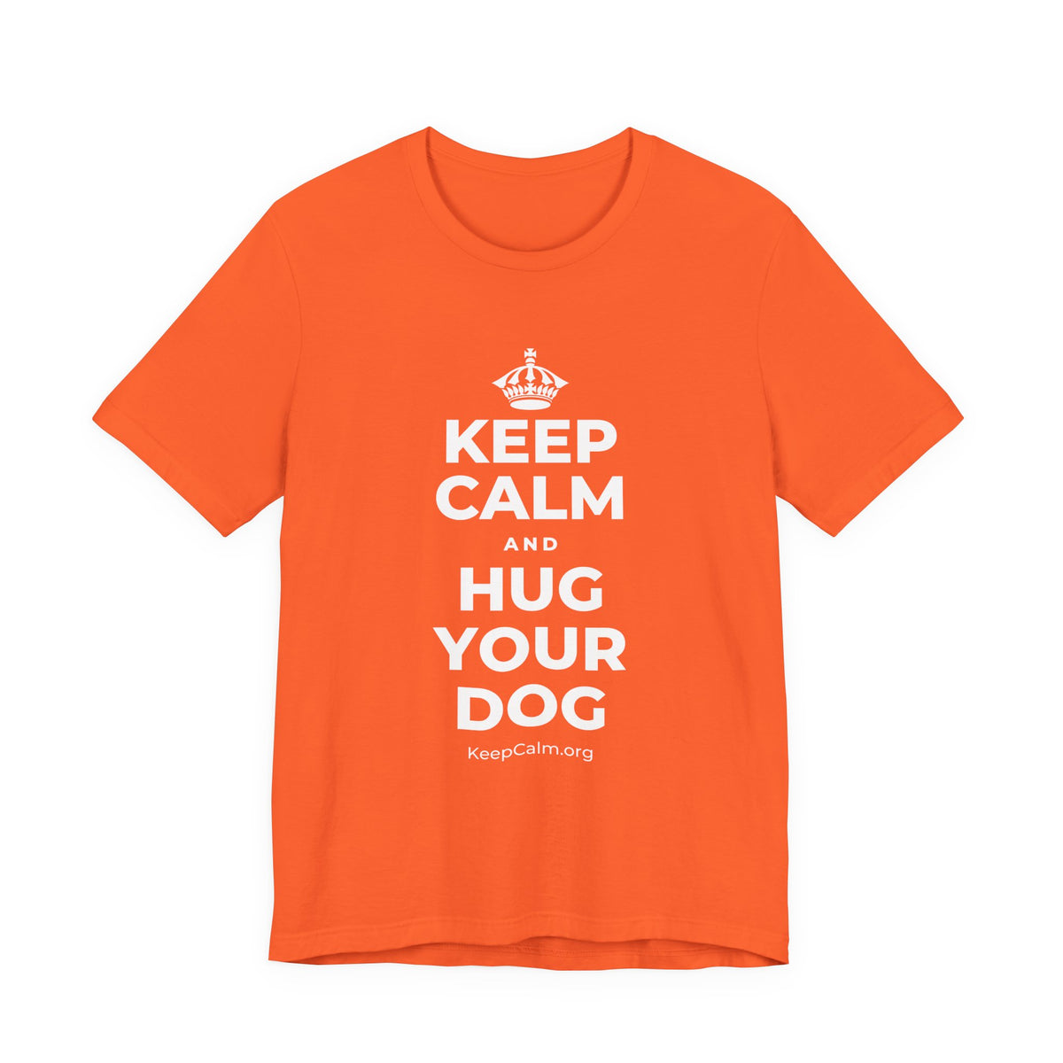 KEEP CALM AND HUG YOUR DOG T-Shirt (Baby Blue–Silver)