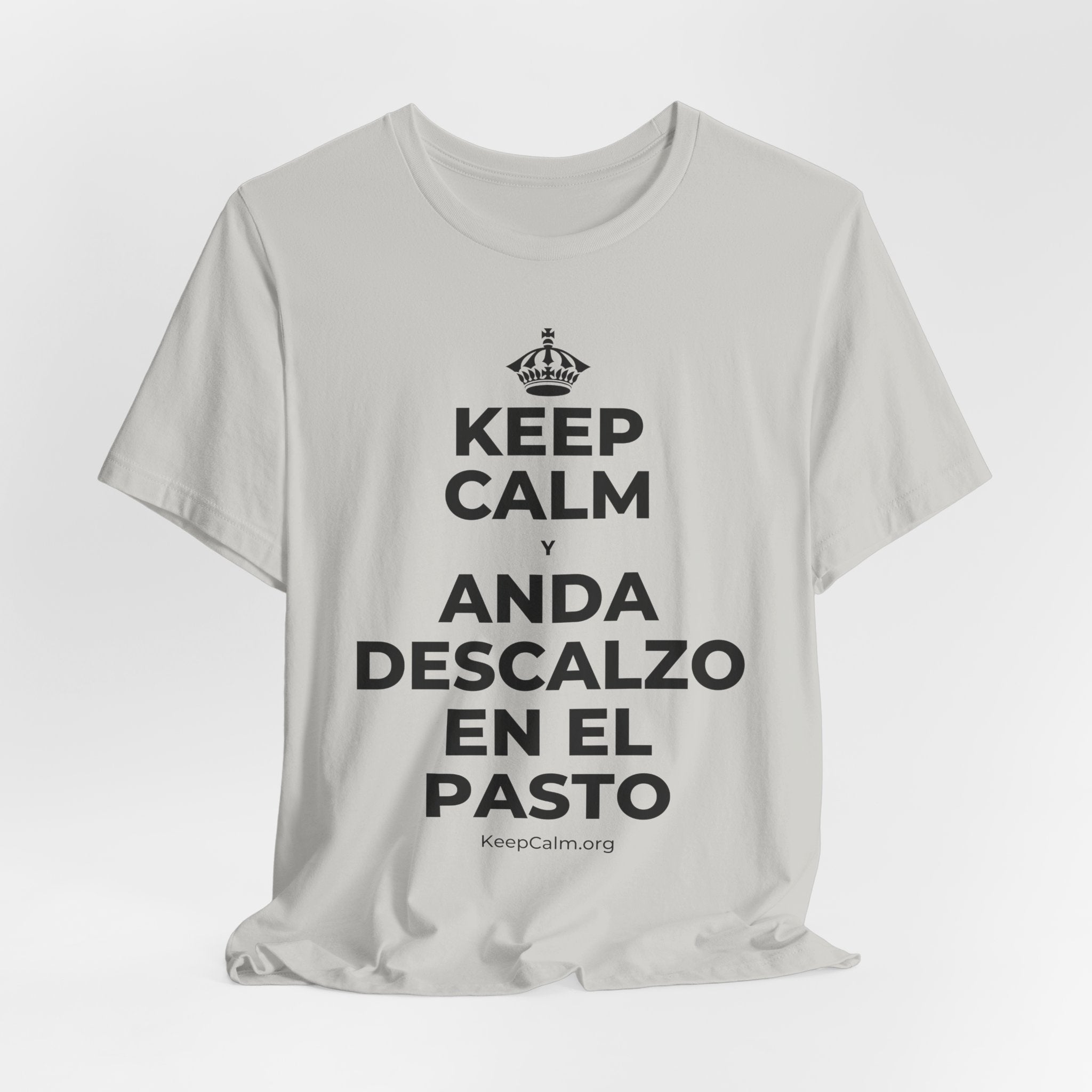 KEEP CALM Y ANDA DESCALZO EN EL PASTO T-Shirt (Baby Blue–Silver)