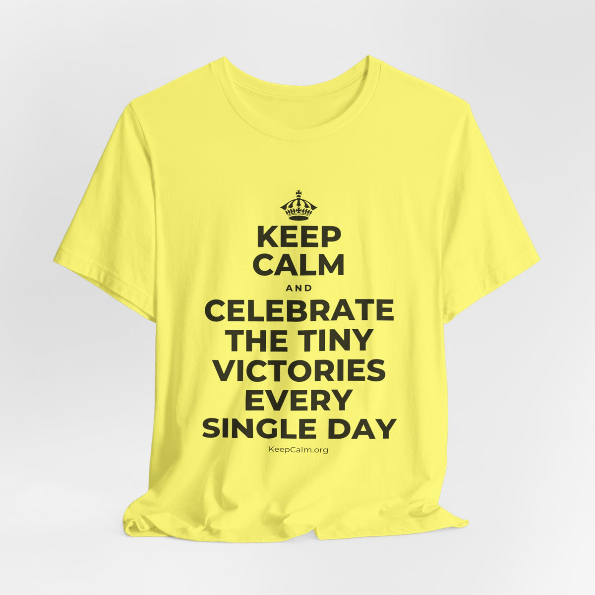 KEEP CALM AND CELEBRATE THE TINY VICTORIES EVERY SINGLE DAY T-Shirt (Soft Cream–Heather Mauve)