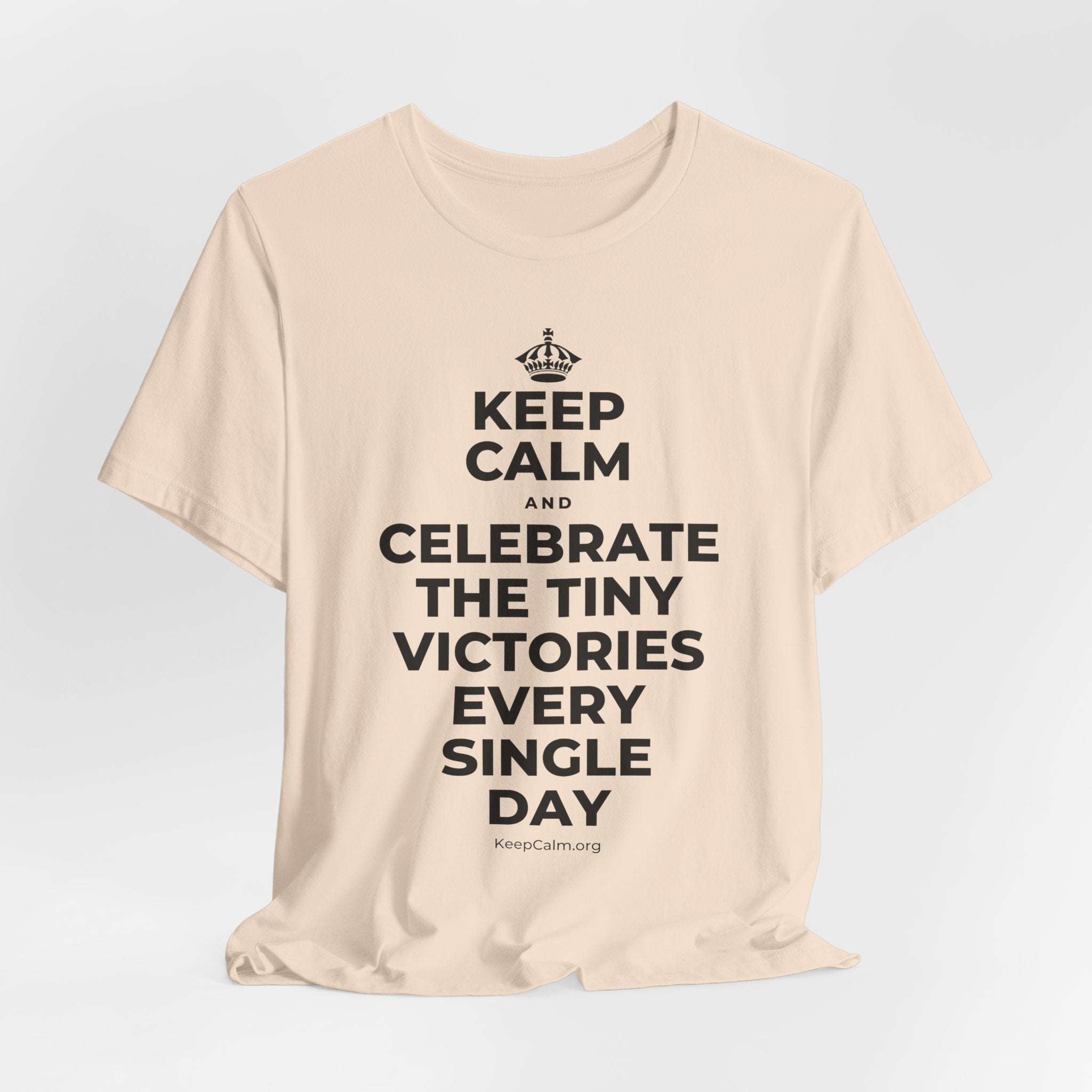 KEEP CALM AND CELEBRATE THE TINY VICTORIES EVERY SINGLE DAY T-Shirt (Soft Cream–Heather Mauve)