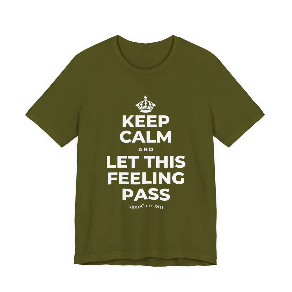 KEEP CALM AND LET THIS FEELING PASS T-Shirt (Baby Blue–Silver)