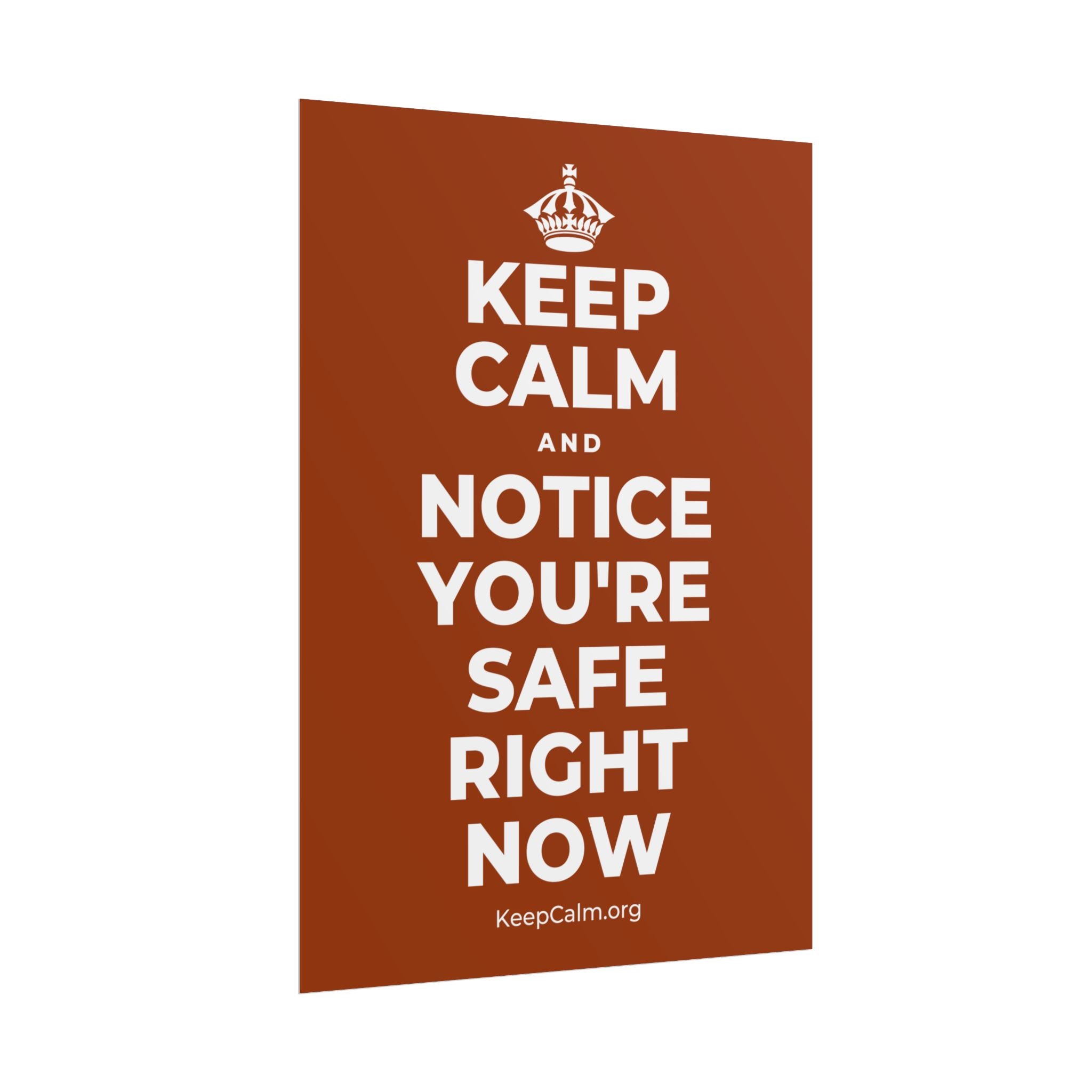 KEEP CALM AND NOTICE YOU'RE SAFE RIGHT NOW Poster