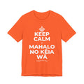 KEEP CALM A MAHALO NO KĒIA WĀ T-Shirt (Baby Blue–Silver)