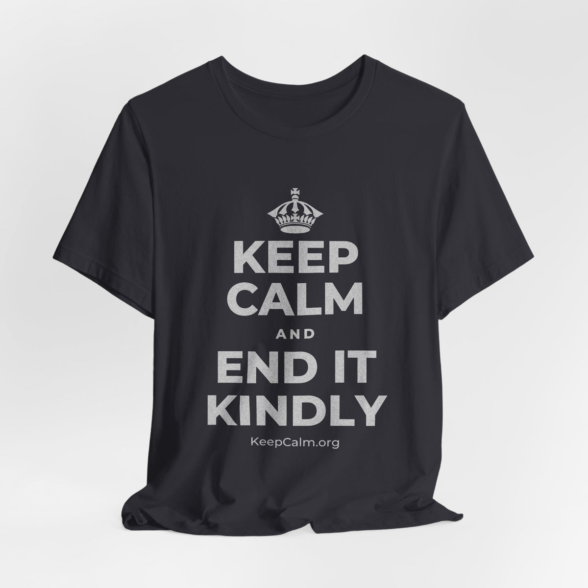 KEEP CALM AND END IT KINDLY T-Shirt (Baby Blue–Silver)