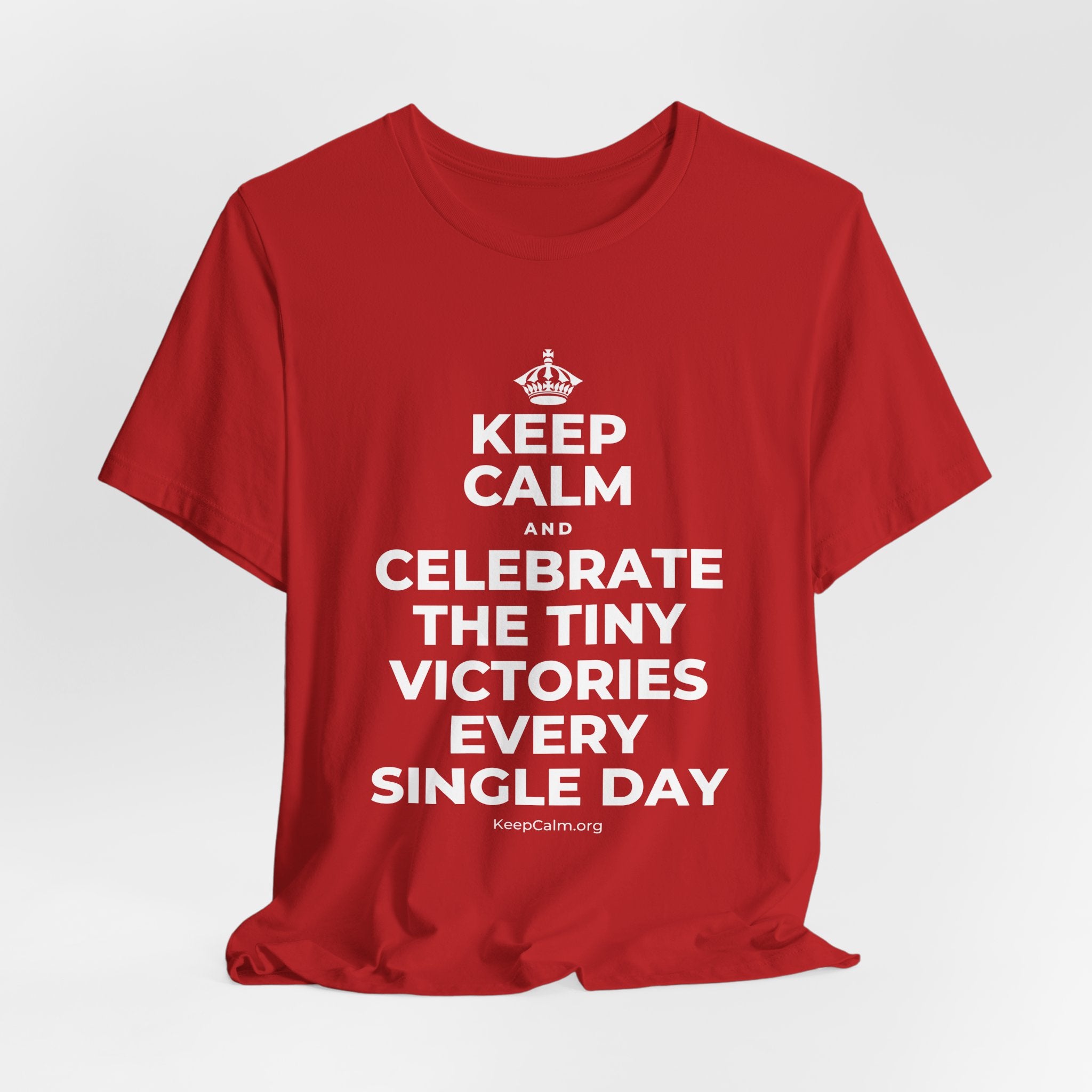 KEEP CALM AND CELEBRATE THE TINY VICTORIES EVERY SINGLE DAY T-Shirt (White–Asphalt)