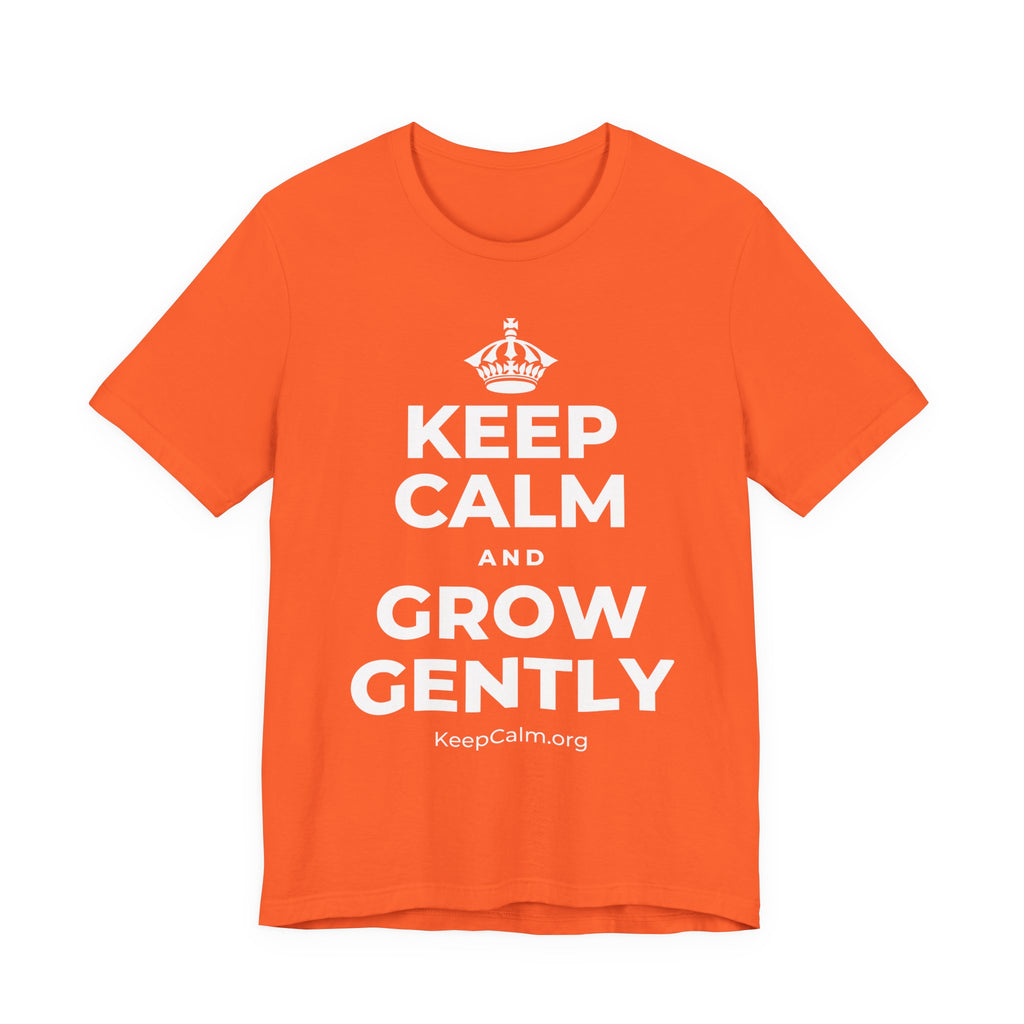 KEEP CALM AND GROW GENTLY T-Shirt (Baby Blue–Silver)