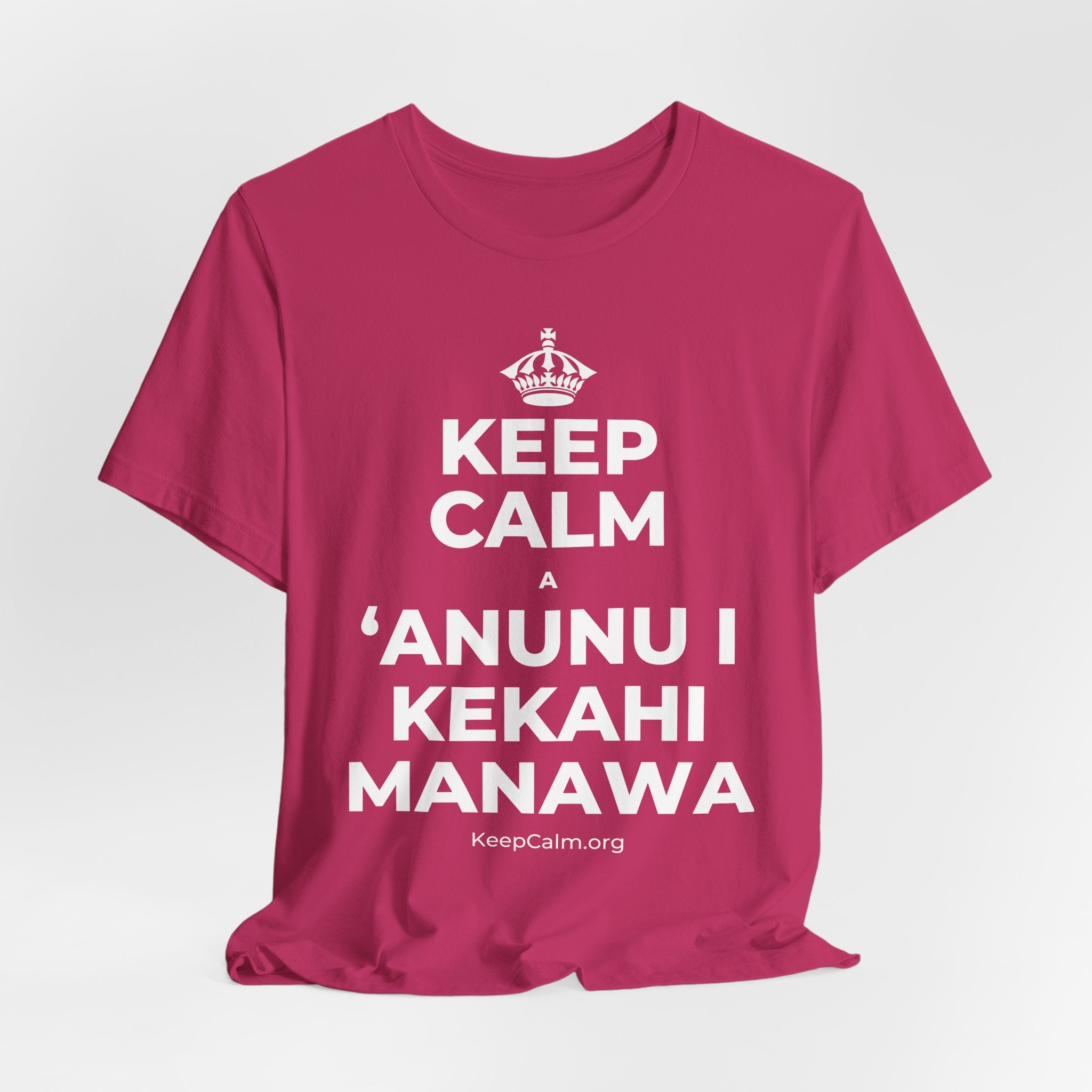KEEP CALM A ʻANUNU I KEKAHI MANAWA T-Shirt (Baby Blue–Silver)