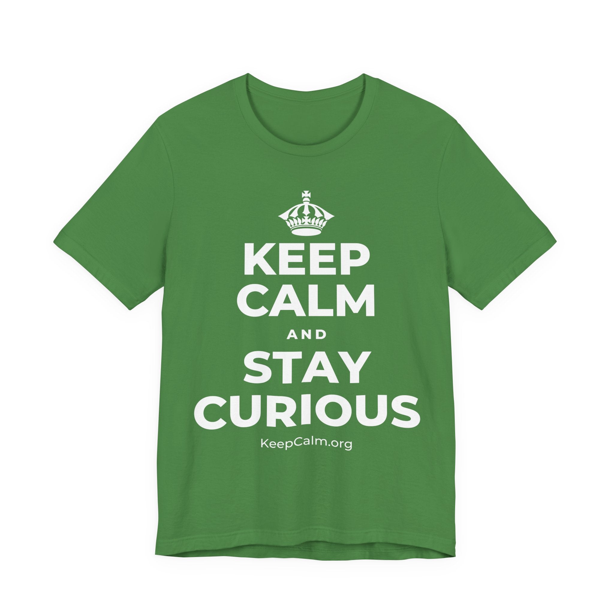 KEEP CALM AND STAY CURIOUS T-Shirt (Baby Blue–Silver)