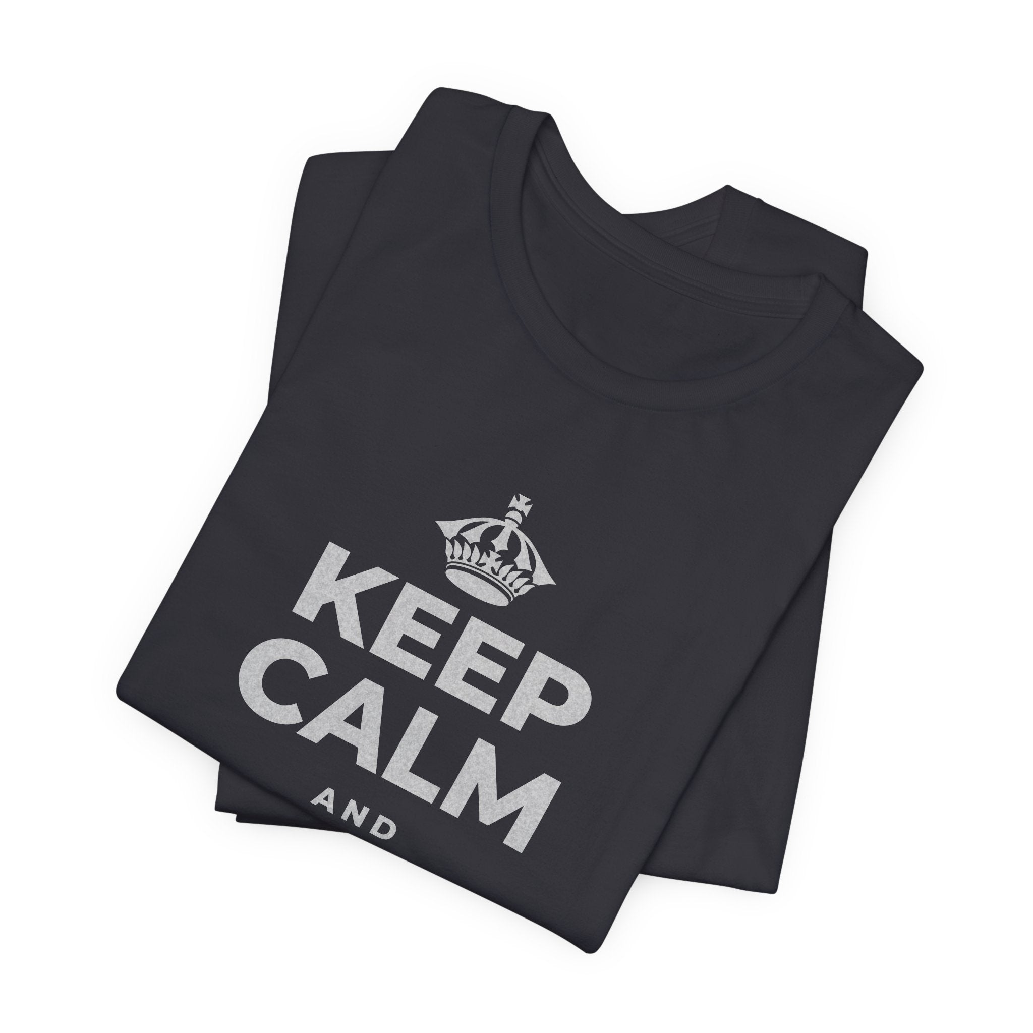 KEEP CALM AND DO IT ANYWAY T-Shirt (Baby Blue–Silver)