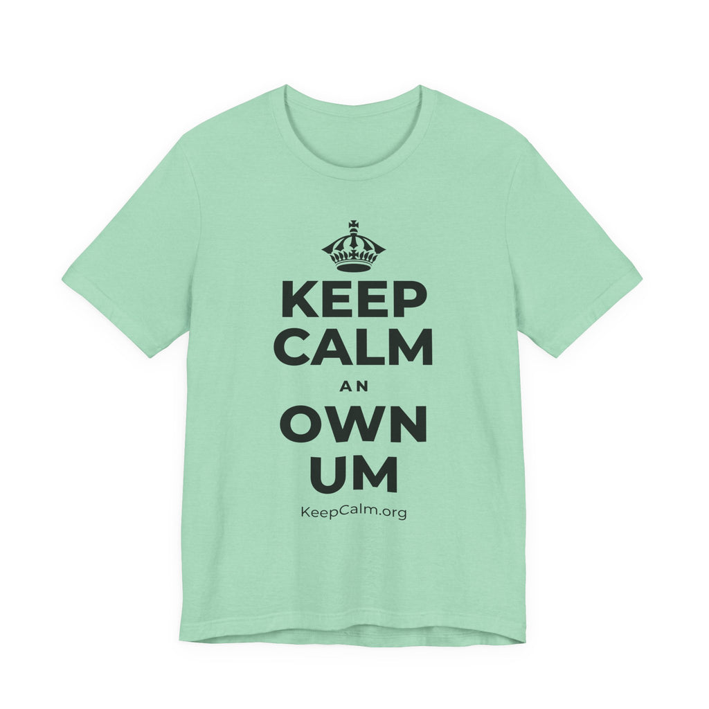 KEEP CALM AN OWN UM T-Shirt (Baby Blue–Silver)