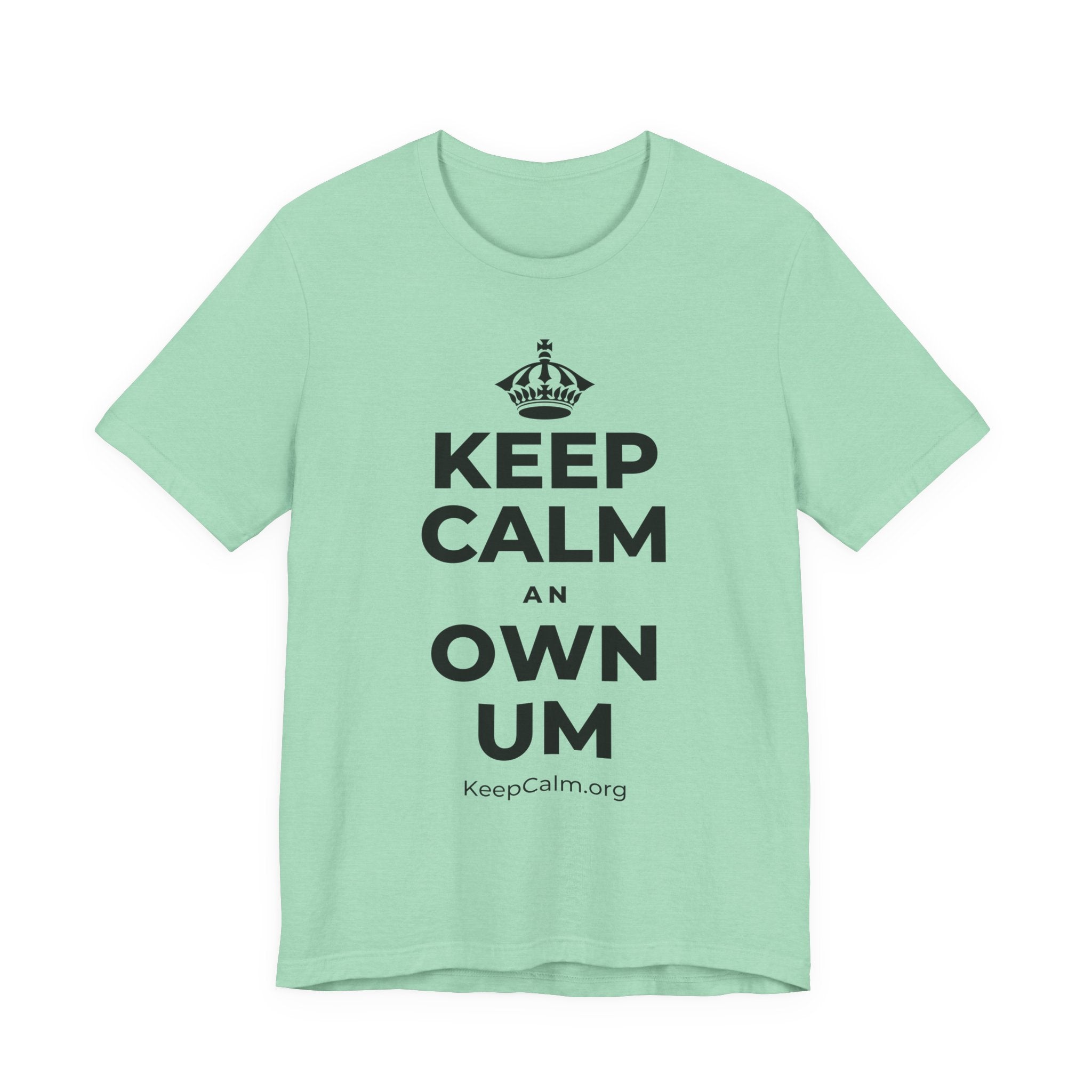 KEEP CALM AN OWN UM T-Shirt (Baby Blue–Silver)