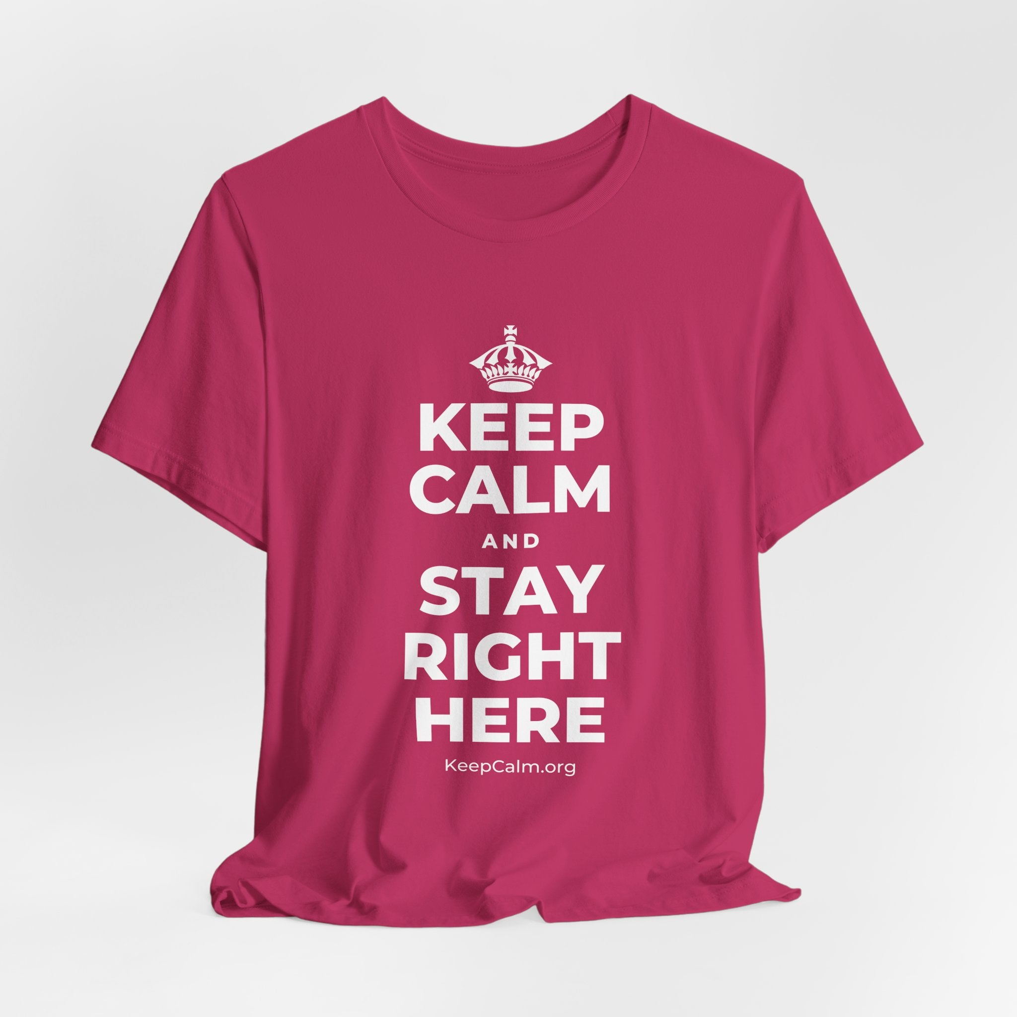 KEEP CALM AND STAY RIGHT HERE T-Shirt (Baby Blue–Silver)