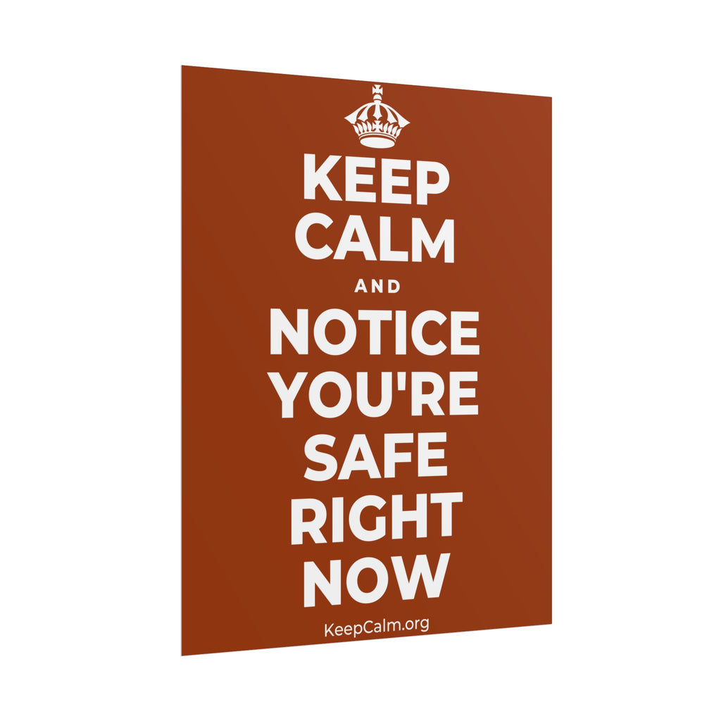KEEP CALM AND NOTICE YOU'RE SAFE RIGHT NOW Poster