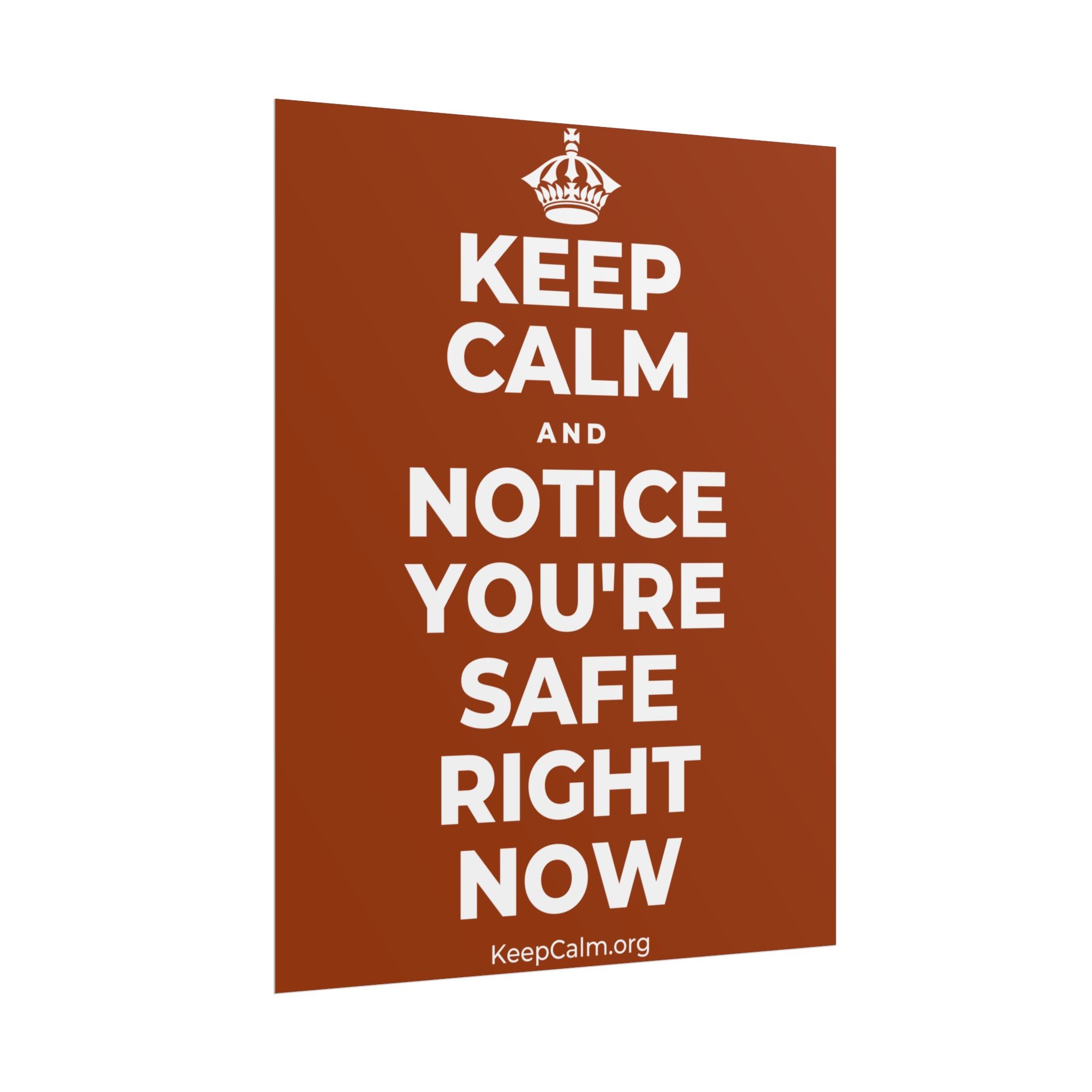 KEEP CALM AND NOTICE YOU'RE SAFE RIGHT NOW Poster