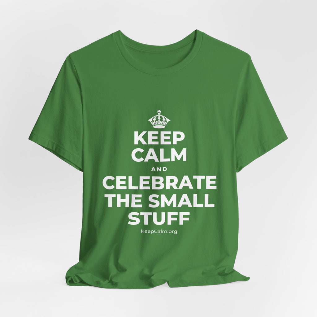 KEEP CALM AND CELEBRATE THE SMALL STUFF T-Shirt (Baby Blue–Silver)