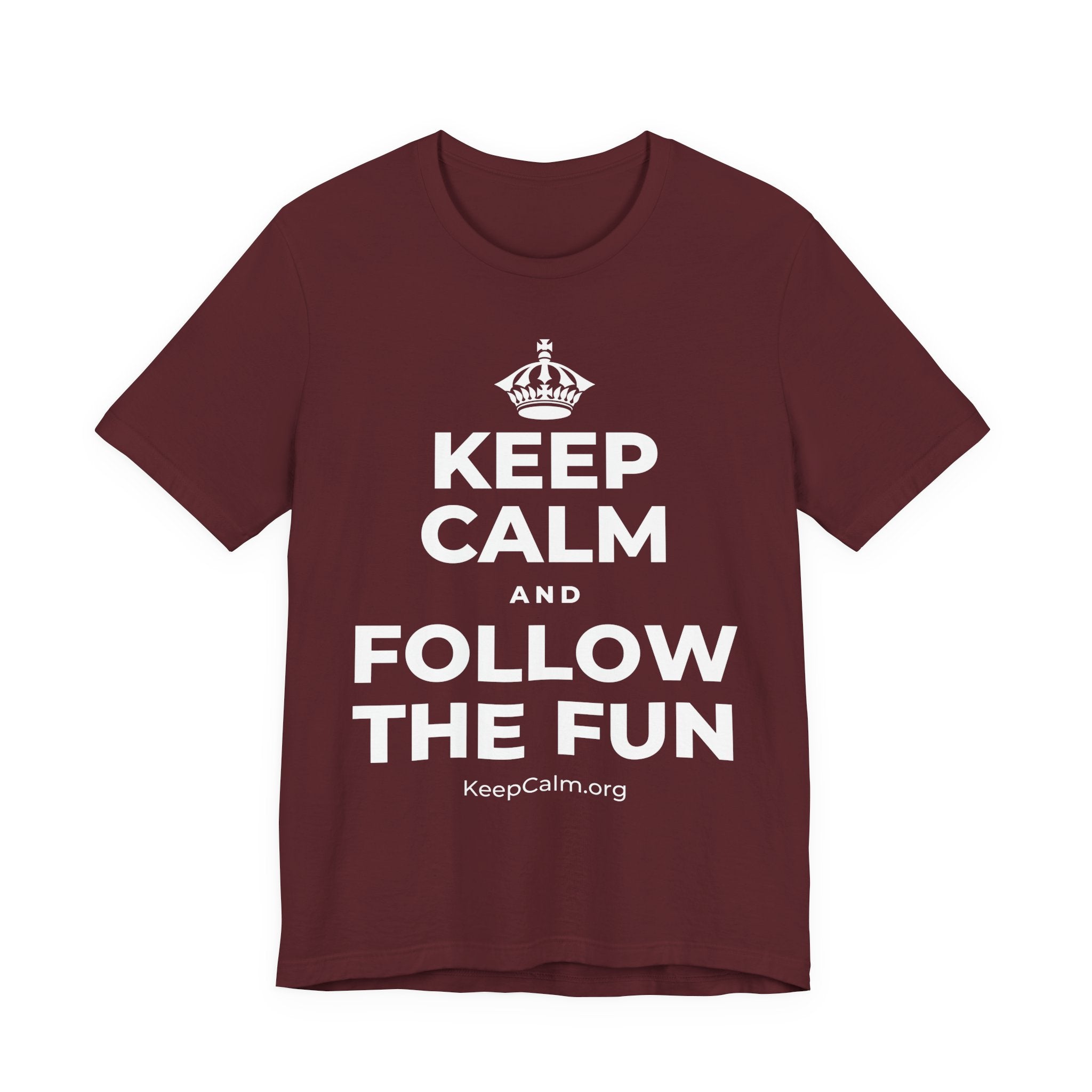 KEEP CALM AND FOLLOW THE FUN T-Shirt (Baby Blue–Silver)