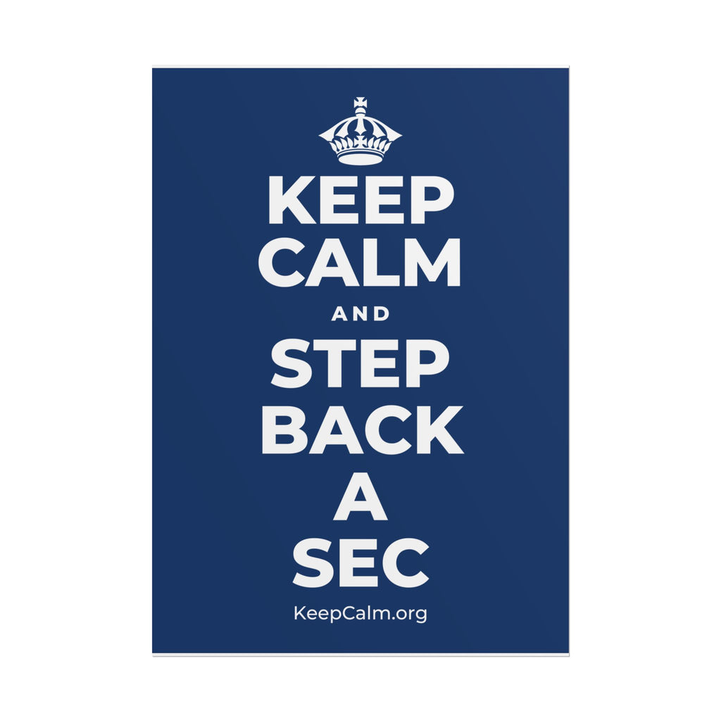 KEEP CALM AND STEP BACK A SEC Poster