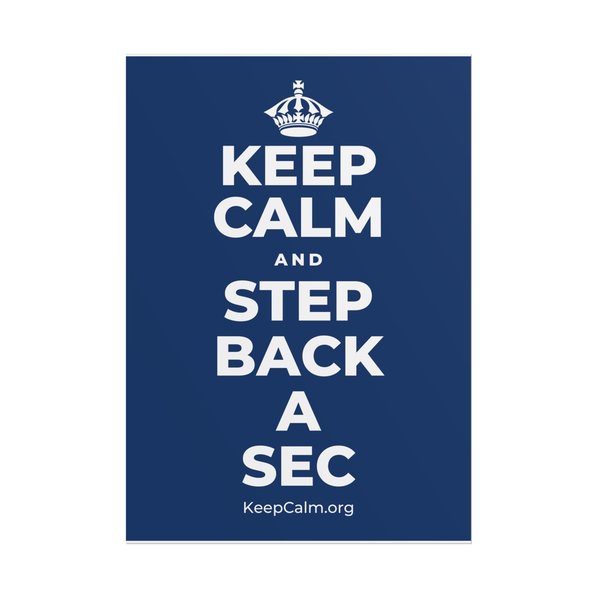 KEEP CALM AND STEP BACK A SEC Poster