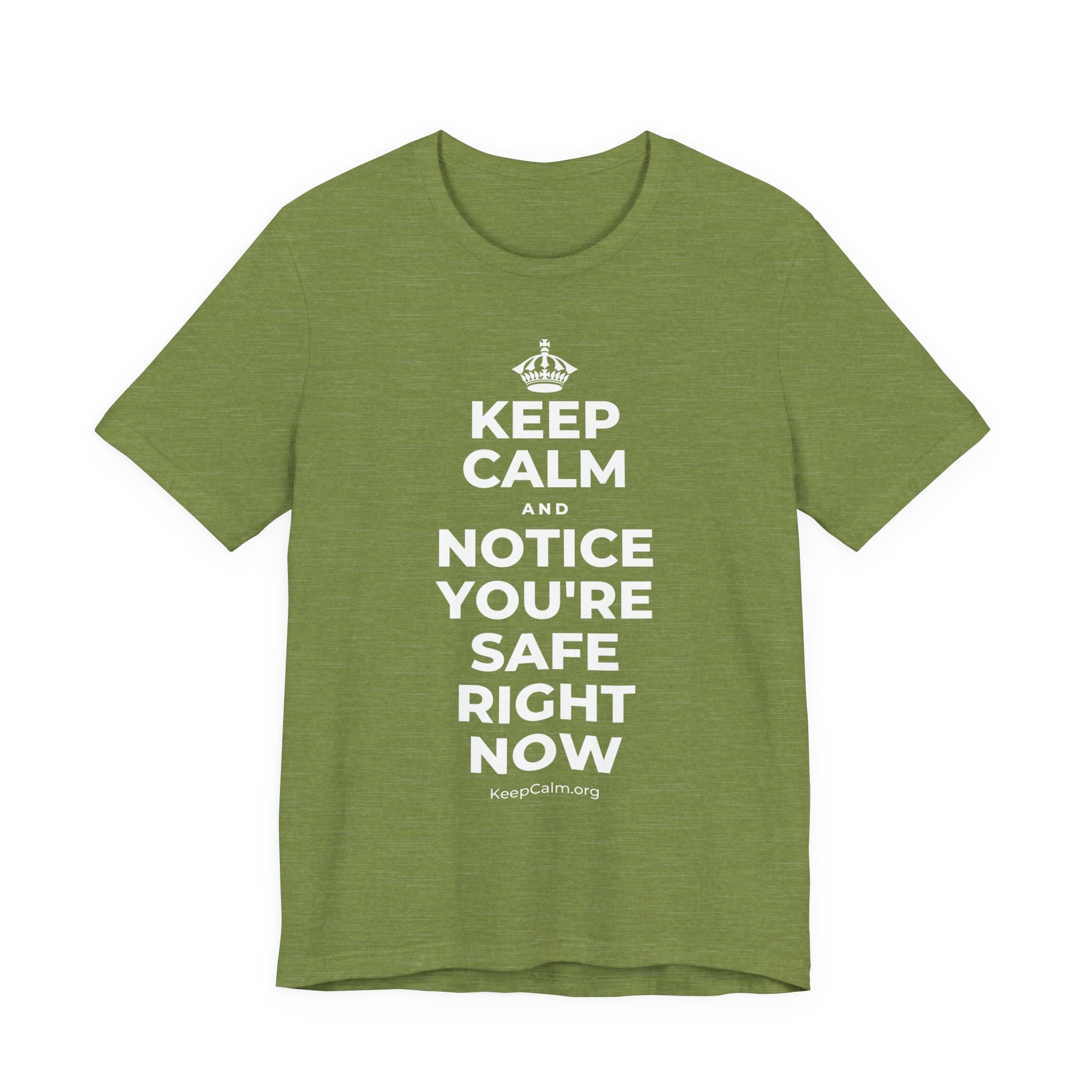 KEEP CALM AND NOTICE YOU'RE SAFE RIGHT NOW T-Shirt (Baby Blue–Silver)