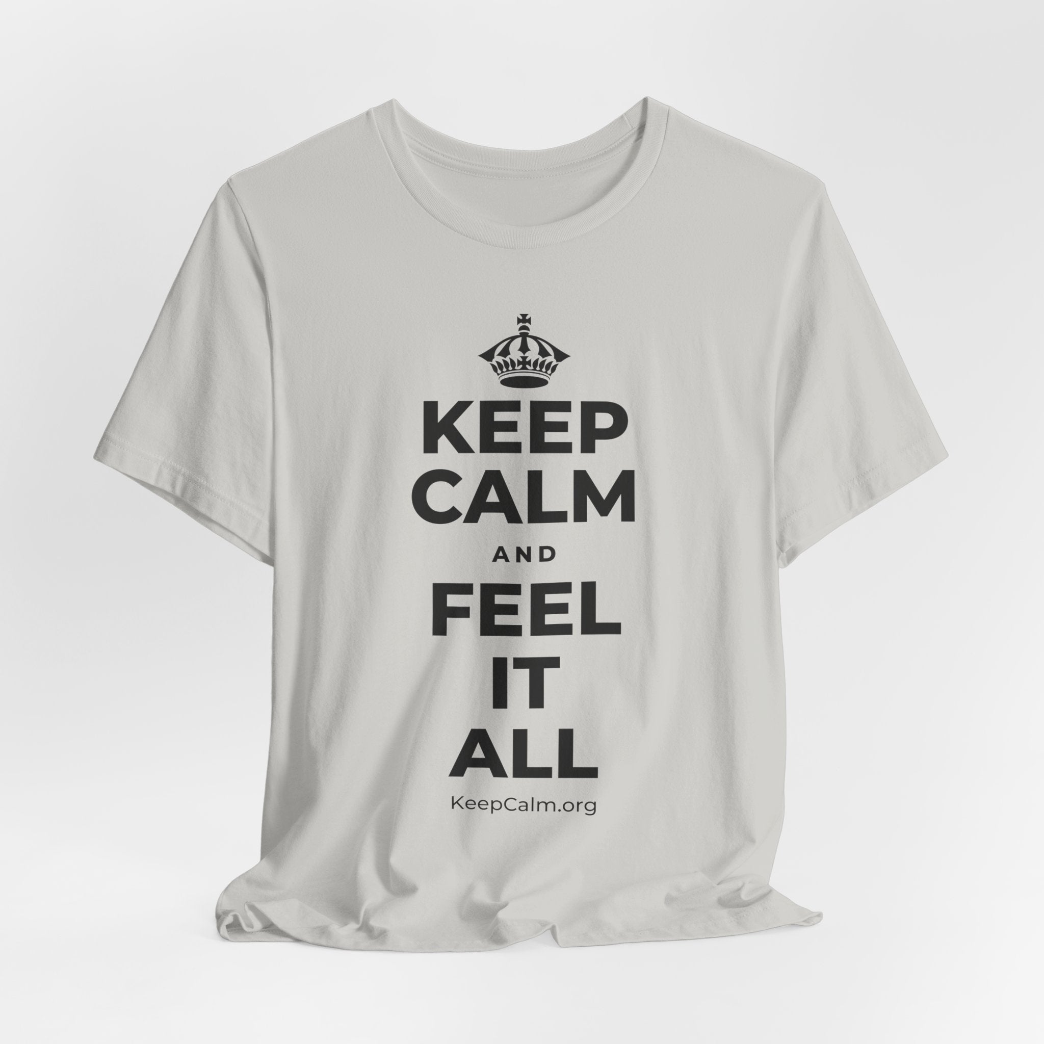 KEEP CALM AND FEEL IT ALL T-Shirt (Baby Blue–Silver)