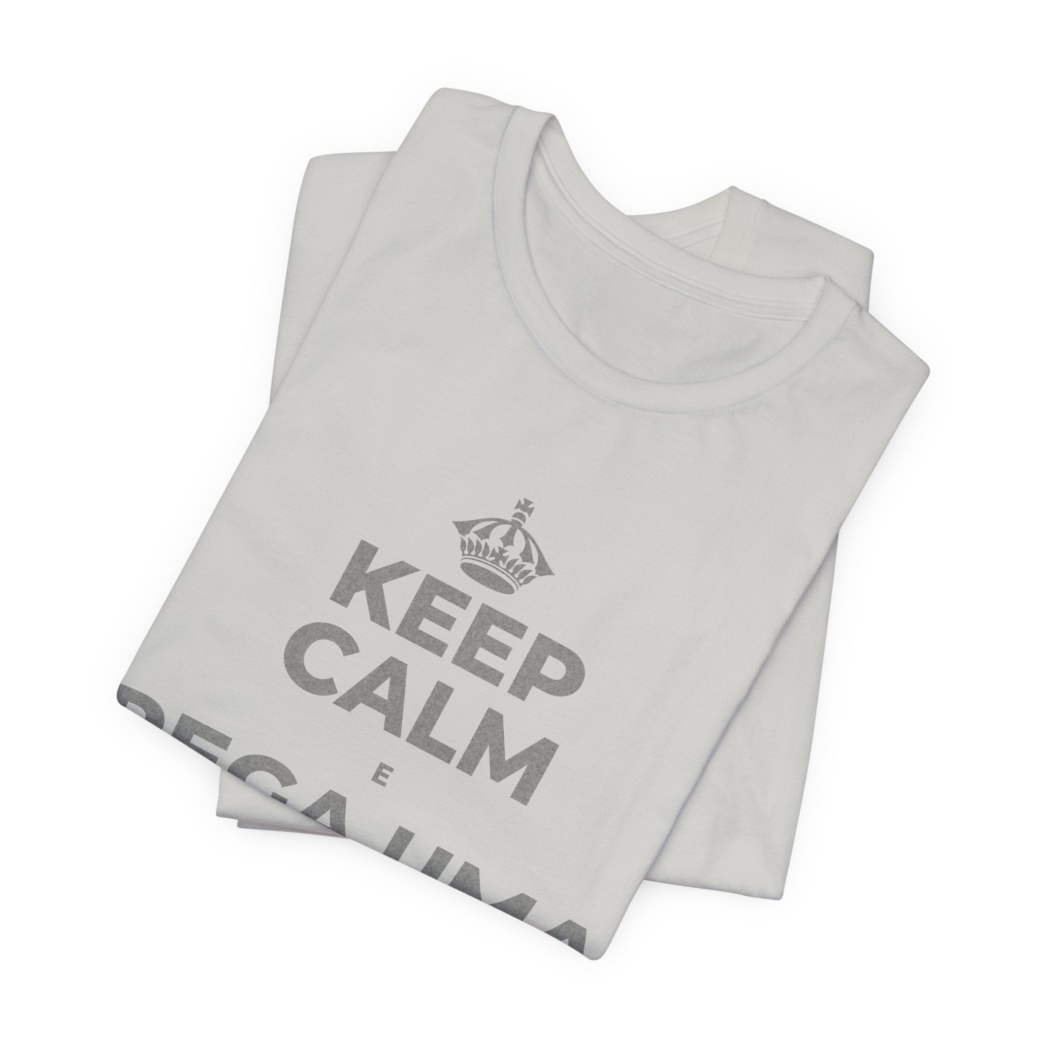 KEEP CALM E PEGA UMA AULA DE CADA VEZ T-Shirt (Baby Blue–Silver)