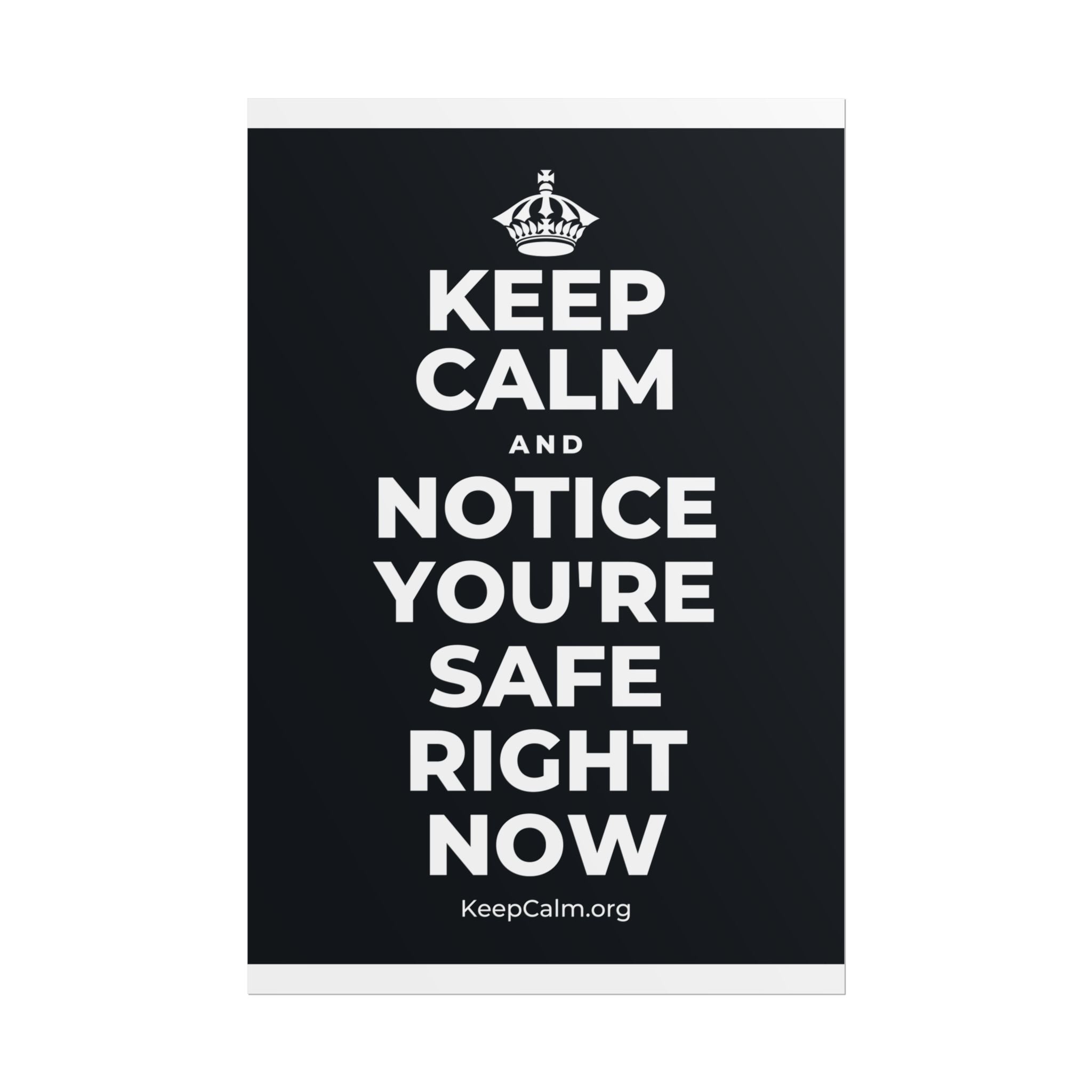 KEEP CALM AND NOTICE YOU'RE SAFE RIGHT NOW Poster (Dark)