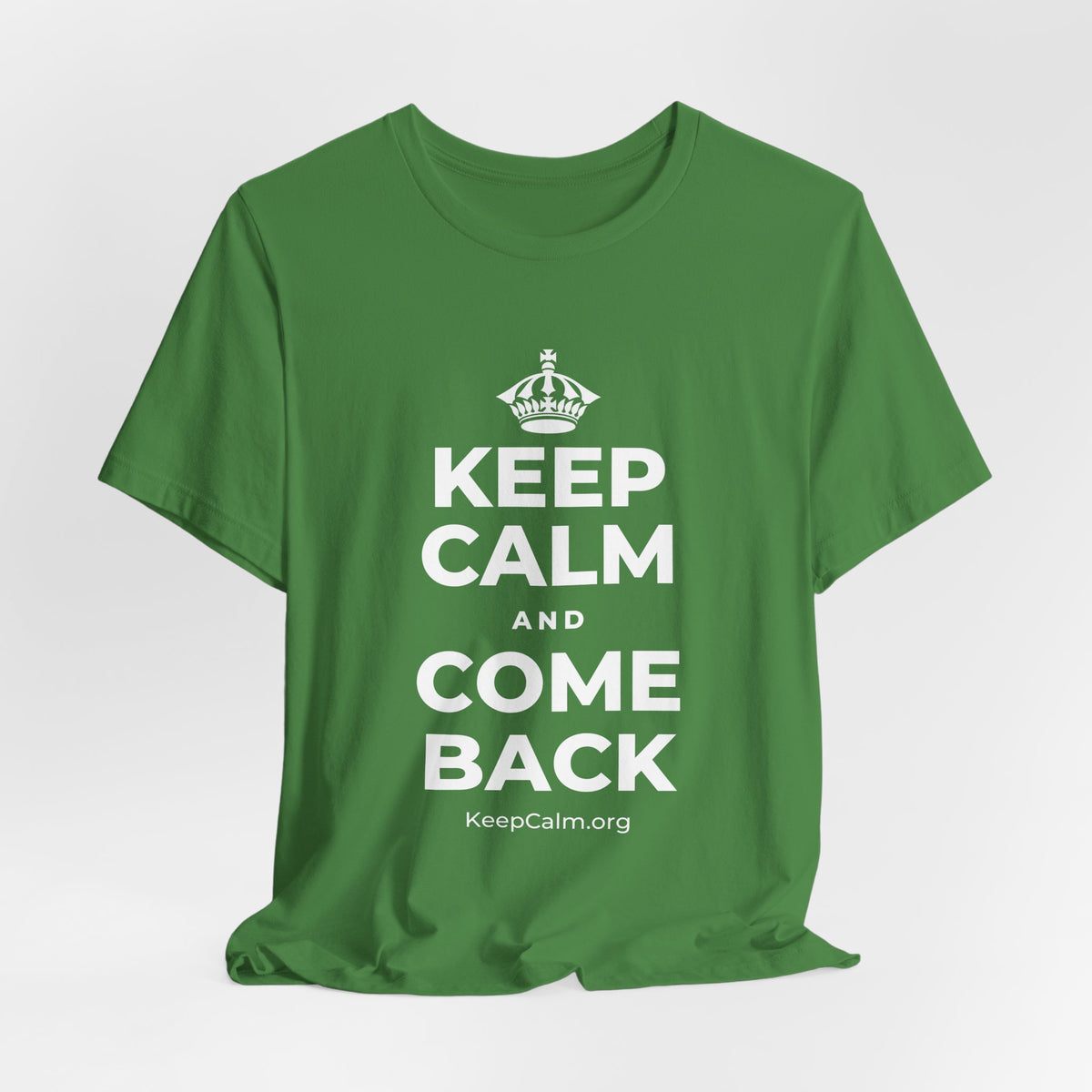 KEEP CALM AND COME BACK T-Shirt (Baby Blue–Silver)