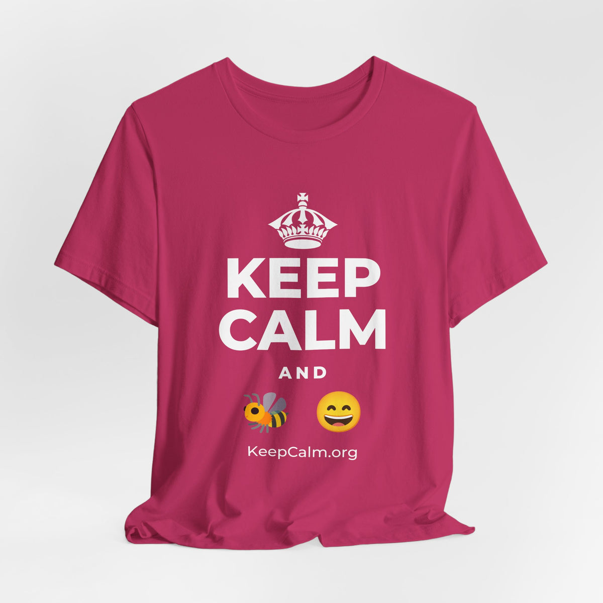 KEEP CALM AND 🐝 😄 T-Shirt (Baby Blue–Silver)