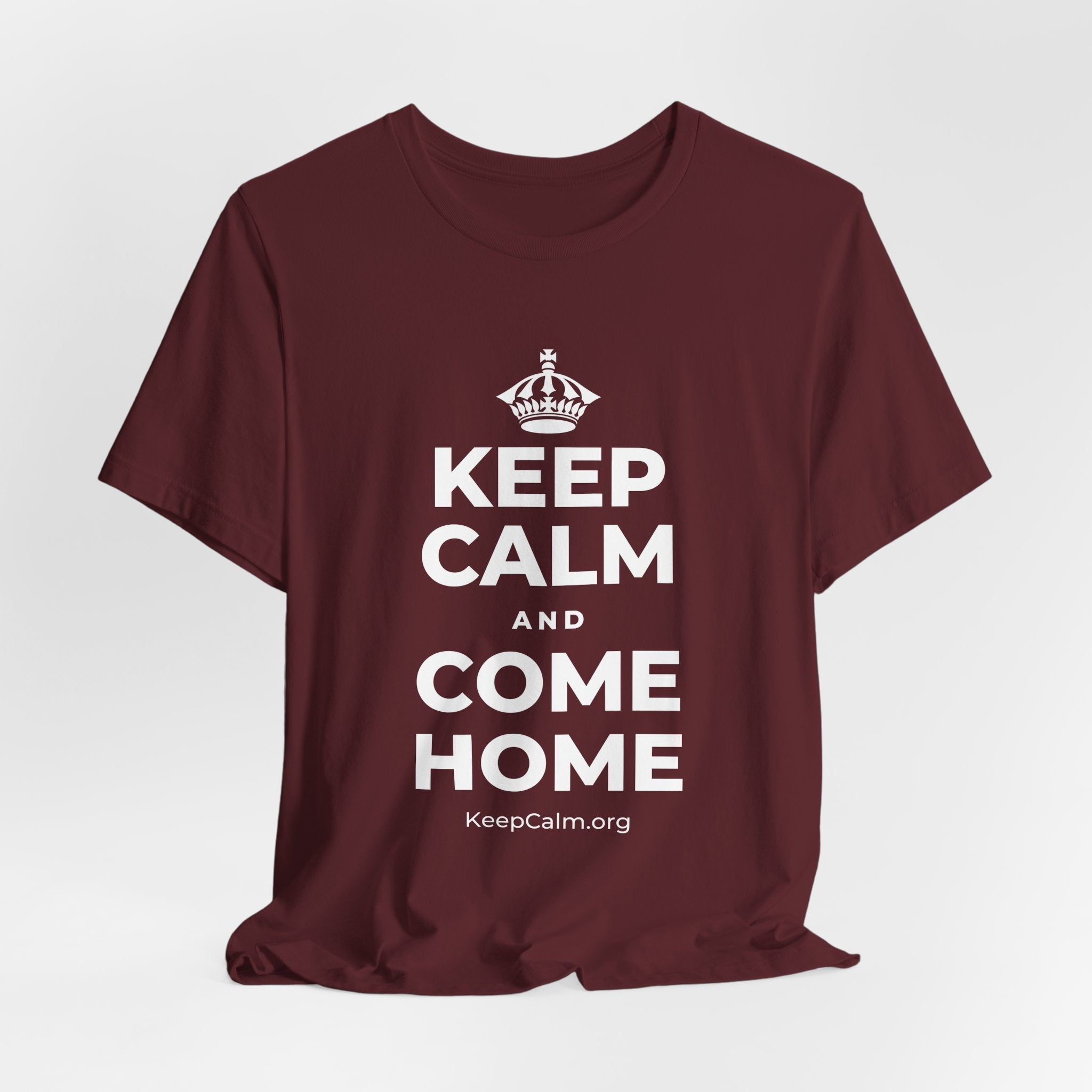 KEEP CALM AND COME HOME T-Shirt (Baby Blue–Silver)