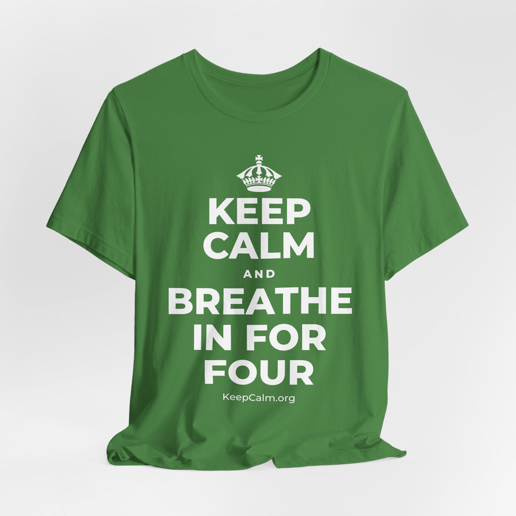 KEEP CALM AND BREATHE IN FOR FOUR T-Shirt (Baby Blue–Silver)