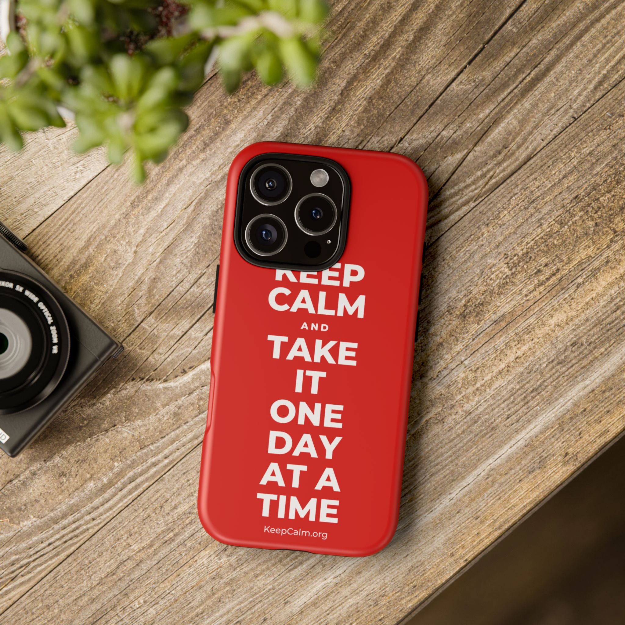 KEEP CALM AND TAKE IT ONE DAY AT A TIME Phone Case