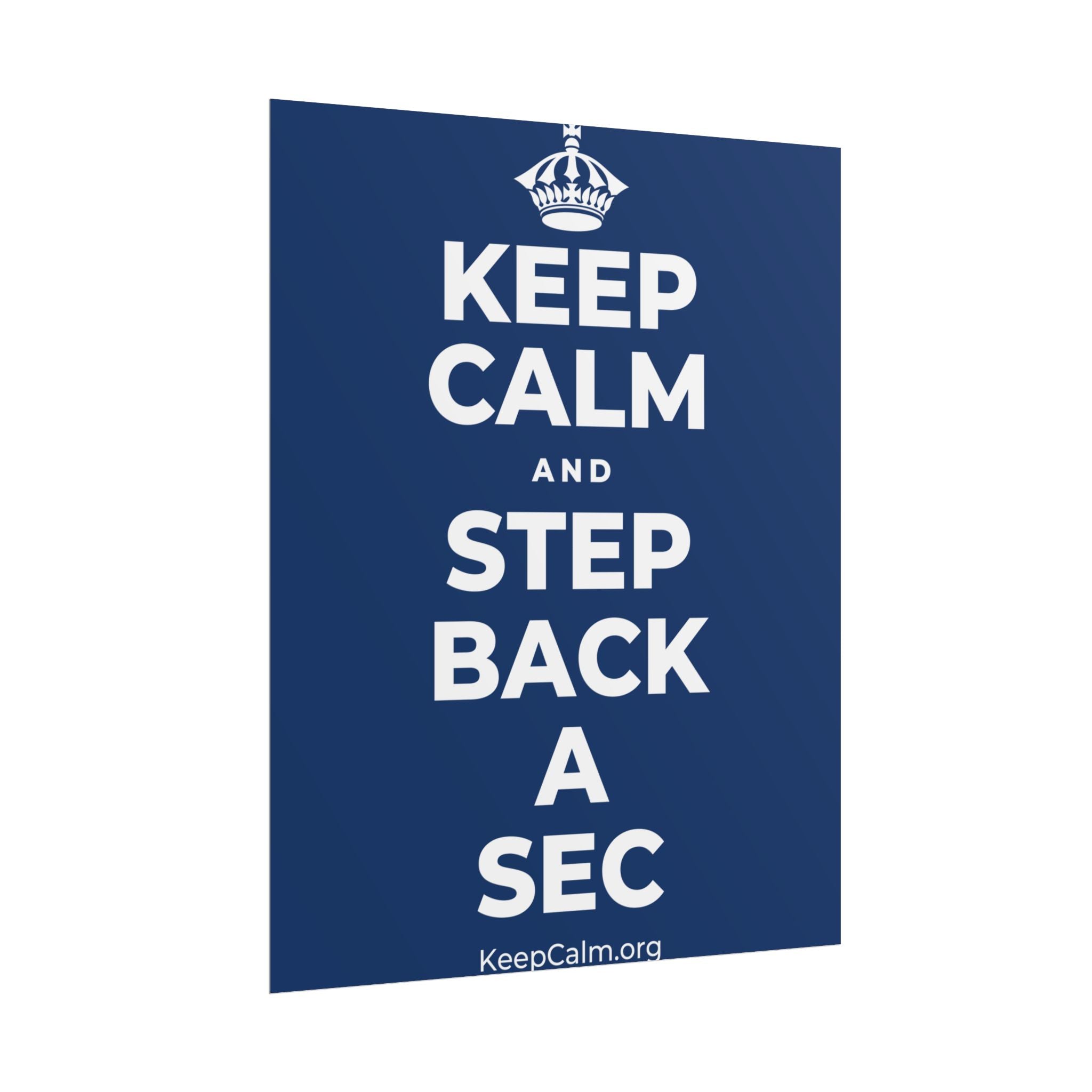 KEEP CALM AND STEP BACK A SEC Poster