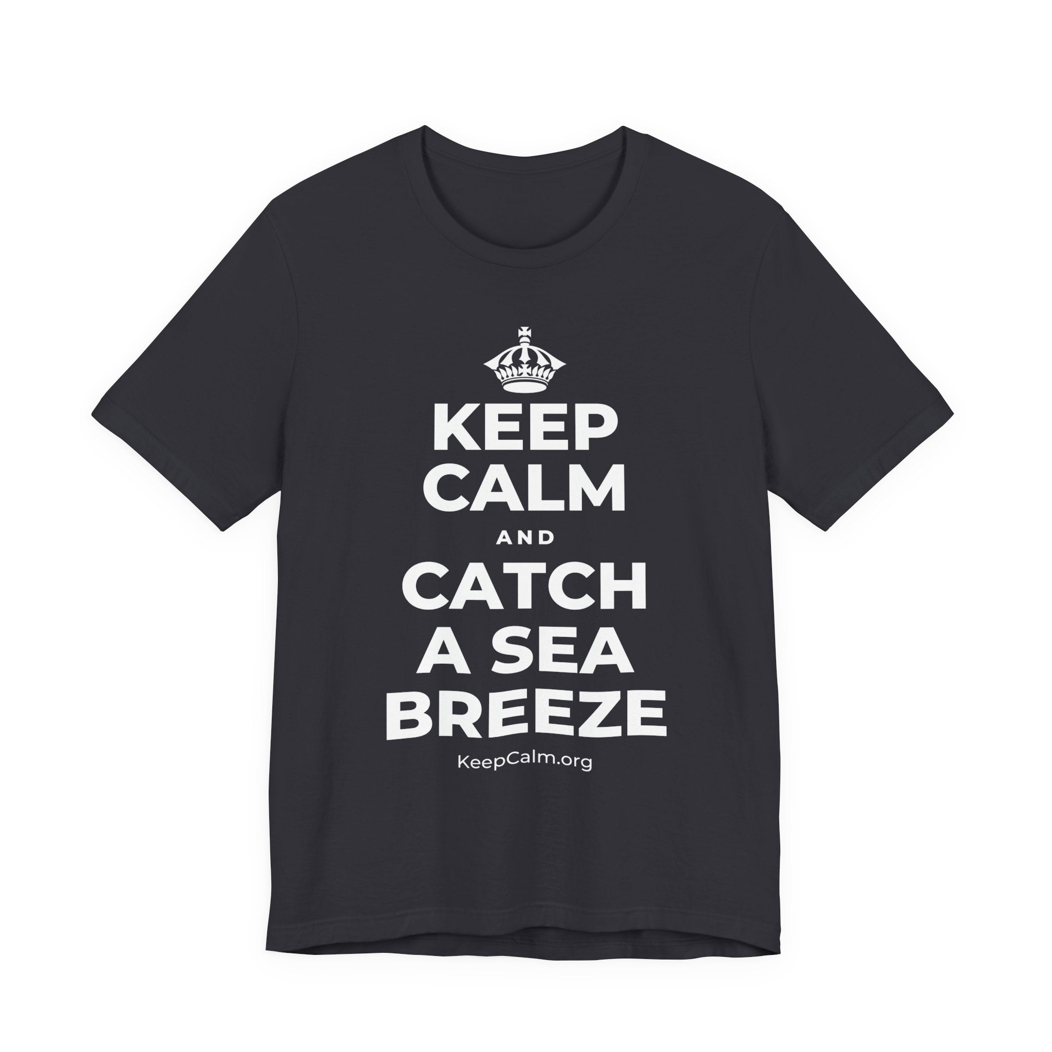 KEEP CALM AND CATCH A SEA BREEZE T-Shirt (Baby Blue–Silver)