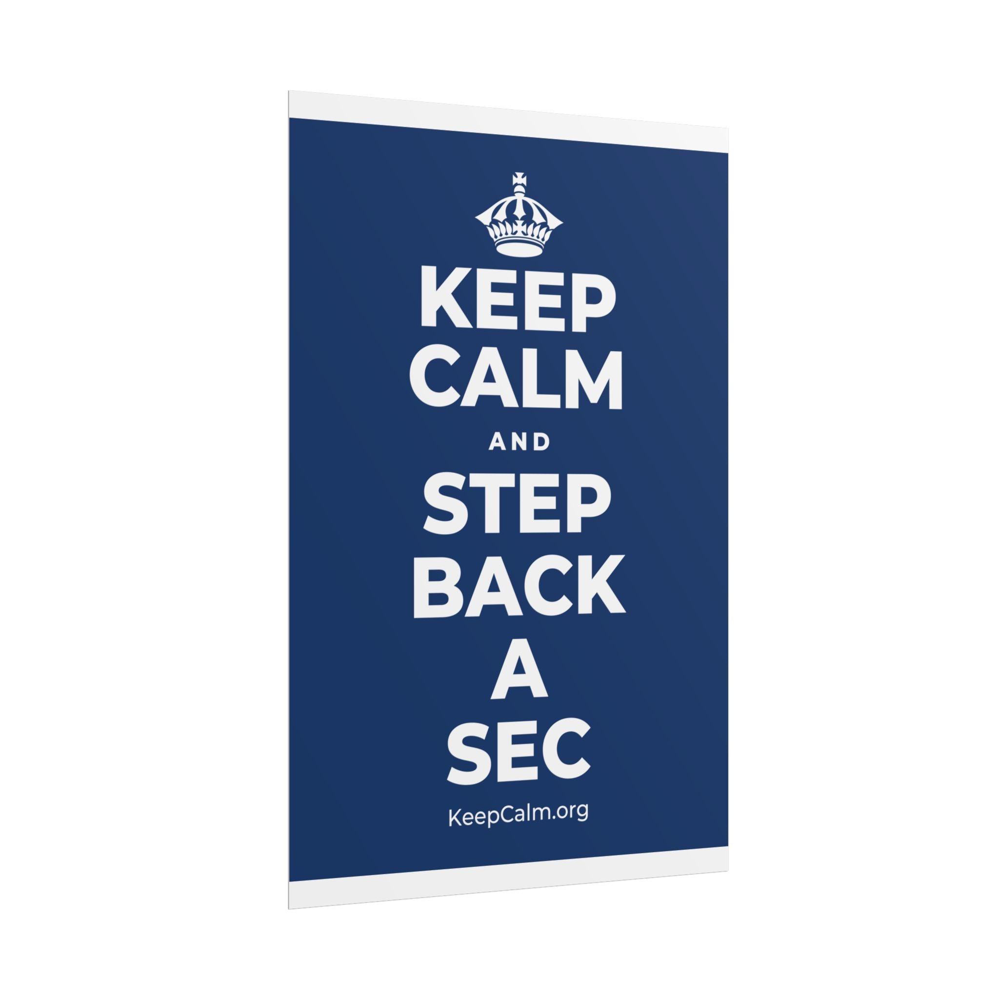 KEEP CALM AND STEP BACK A SEC Poster
