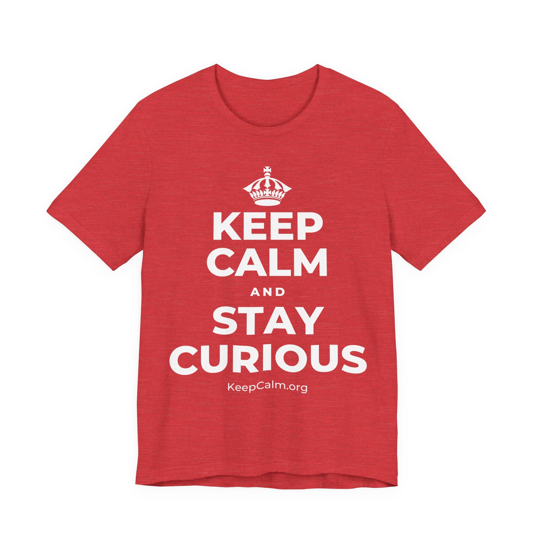 KEEP CALM AND STAY CURIOUS T-Shirt (Baby Blue–Silver)