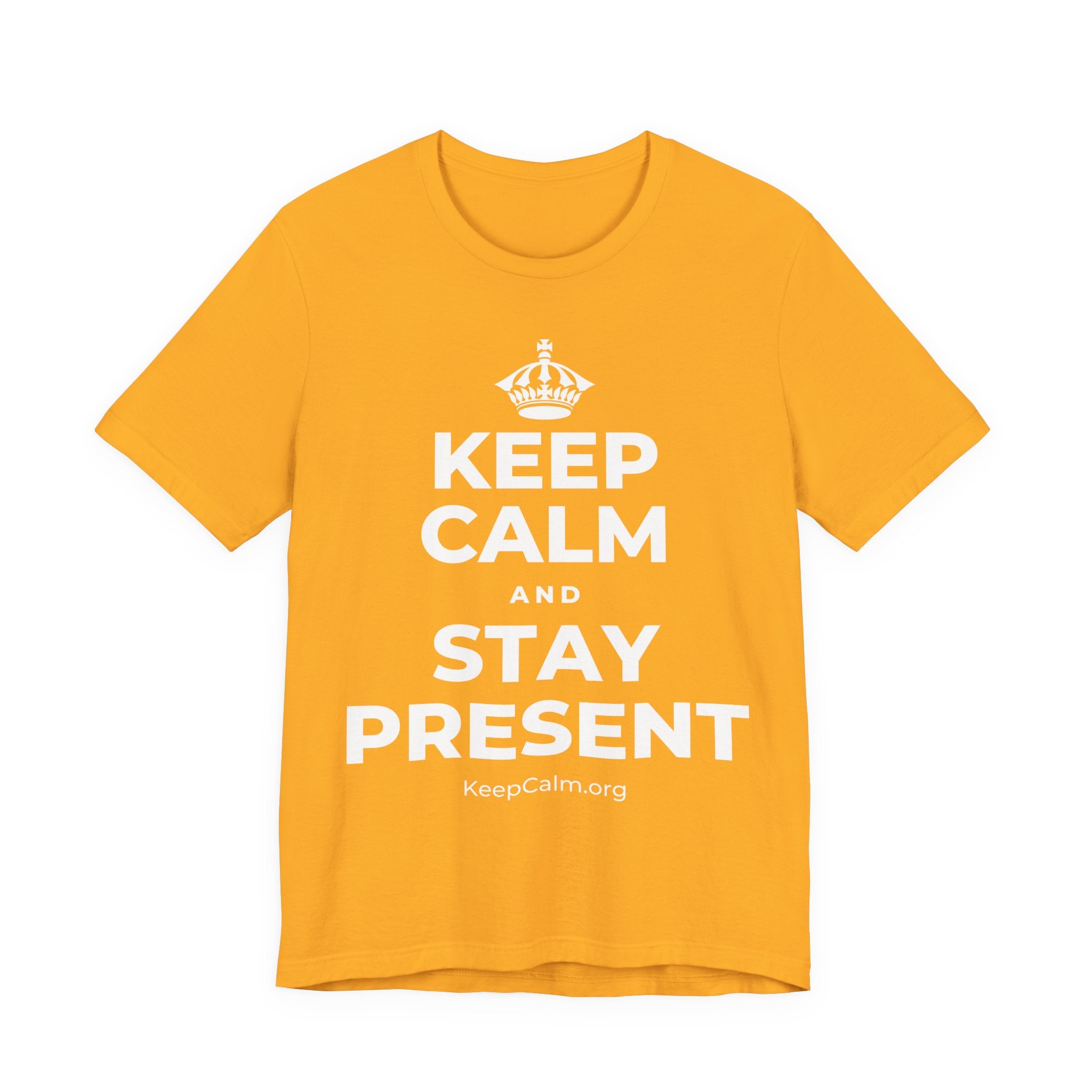 KEEP CALM AND STAY PRESENT T-Shirt (Baby Blue–Silver)