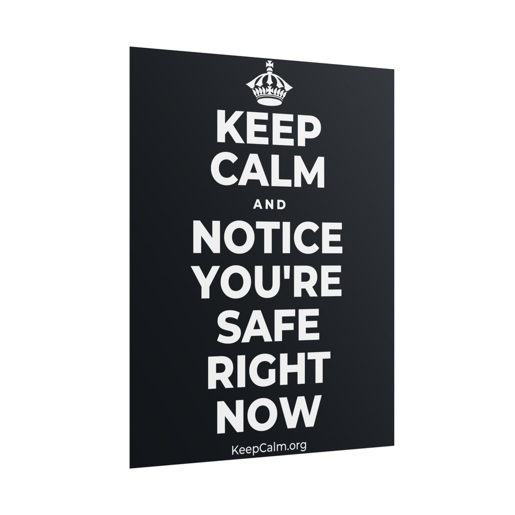 KEEP CALM AND NOTICE YOU'RE SAFE RIGHT NOW Poster (Dark)