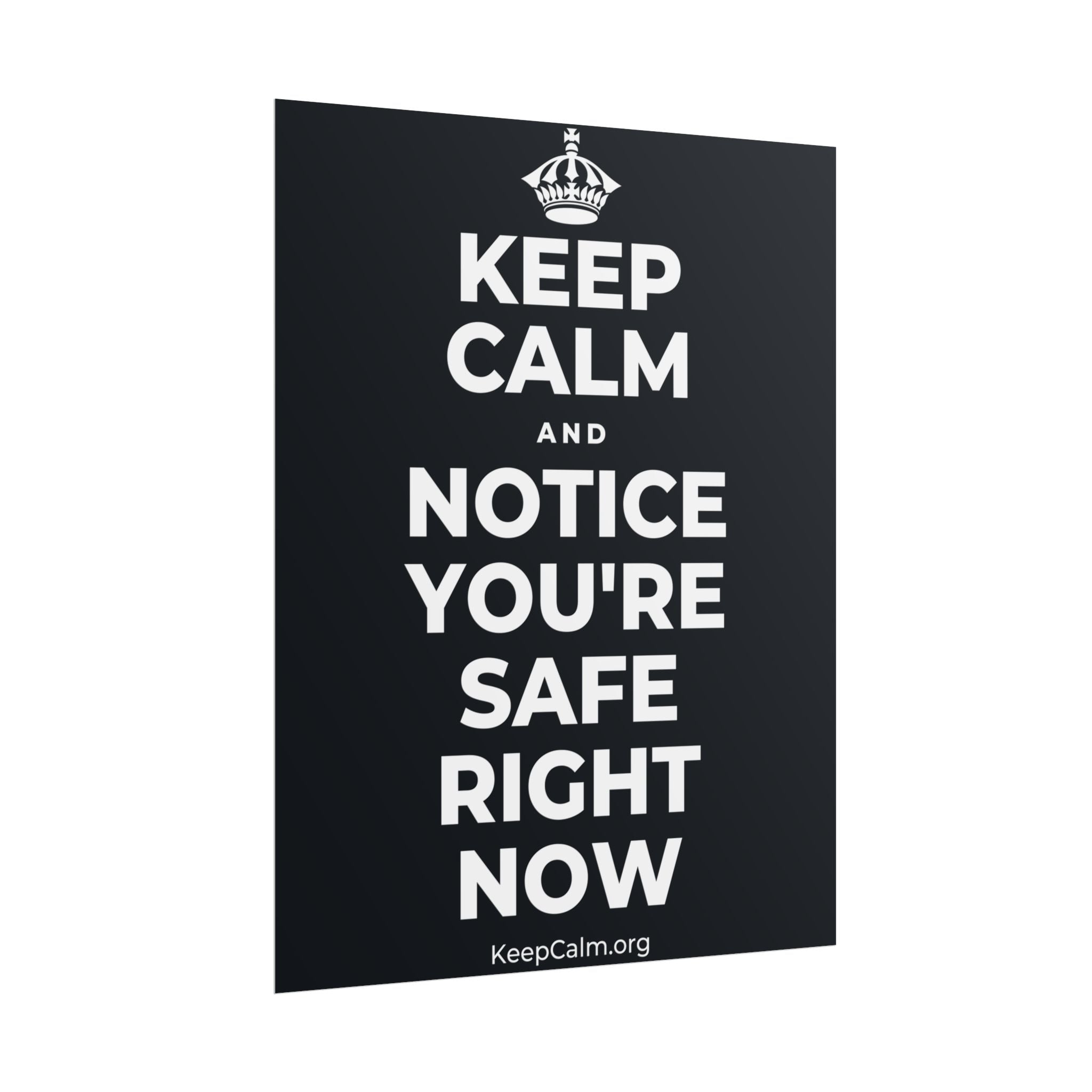 KEEP CALM AND NOTICE YOU'RE SAFE RIGHT NOW Poster (Dark)