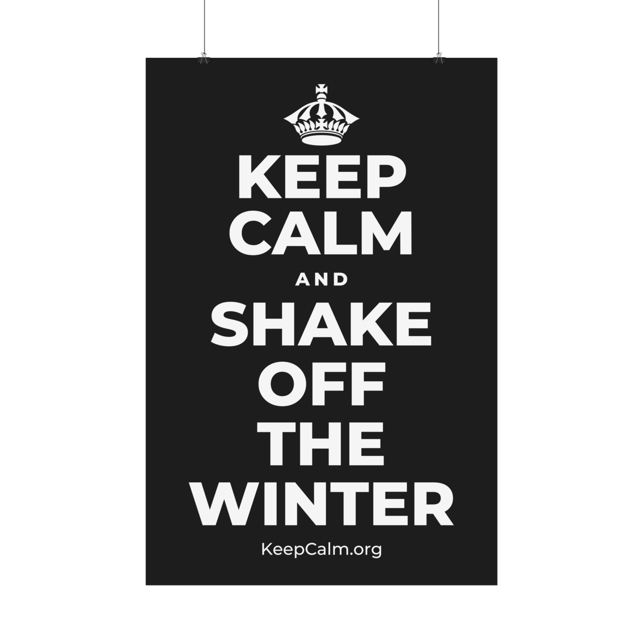 KEEP CALM AND SHAKE OFF THE WINTER Satin Poster