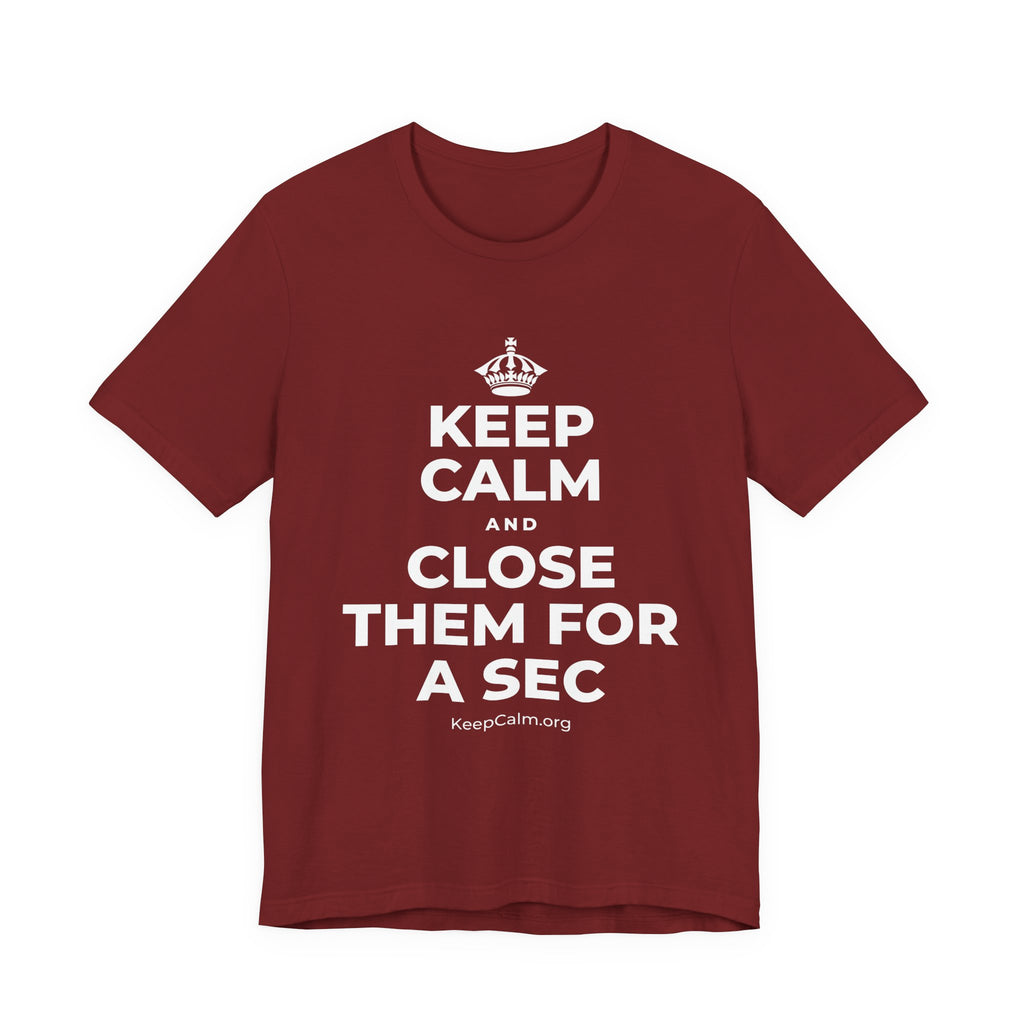 KEEP CALM AND CLOSE THEM FOR A SEC T-Shirt (Baby Blue–Silver)