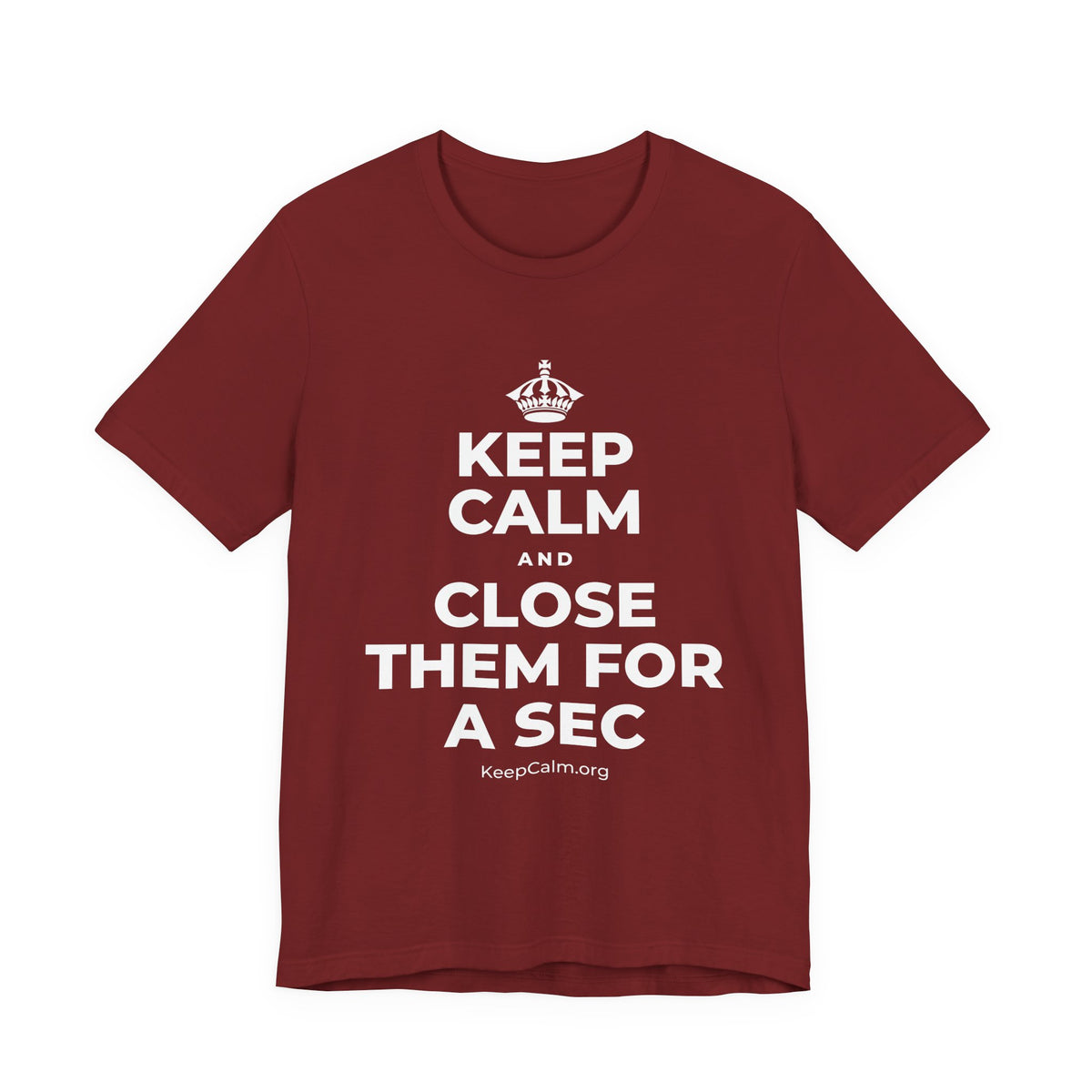 KEEP CALM AND CLOSE THEM FOR A SEC T-Shirt (Baby Blue–Silver)