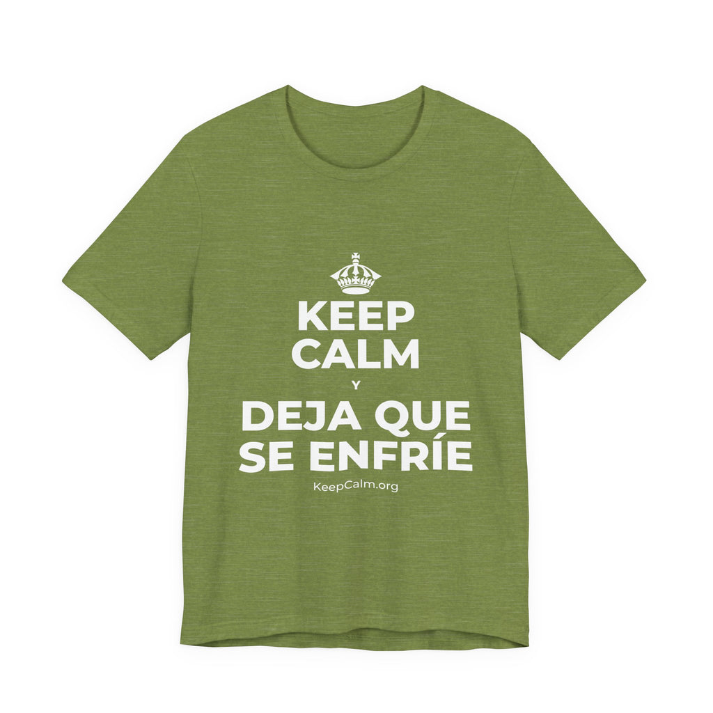 KEEP CALM Y DEJA QUE SE ENFRÍE T-Shirt (Baby Blue–Silver)
