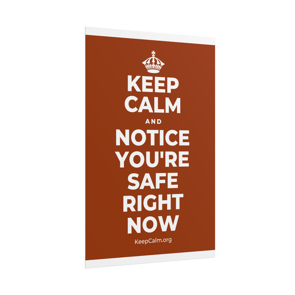 KEEP CALM AND NOTICE YOU'RE SAFE RIGHT NOW Poster
