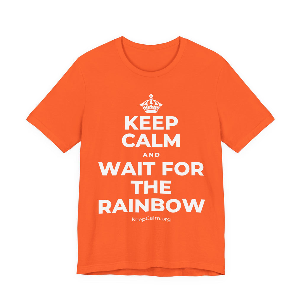 KEEP CALM AND WAIT FOR THE RAINBOW T-Shirt (Baby Blue–Silver)