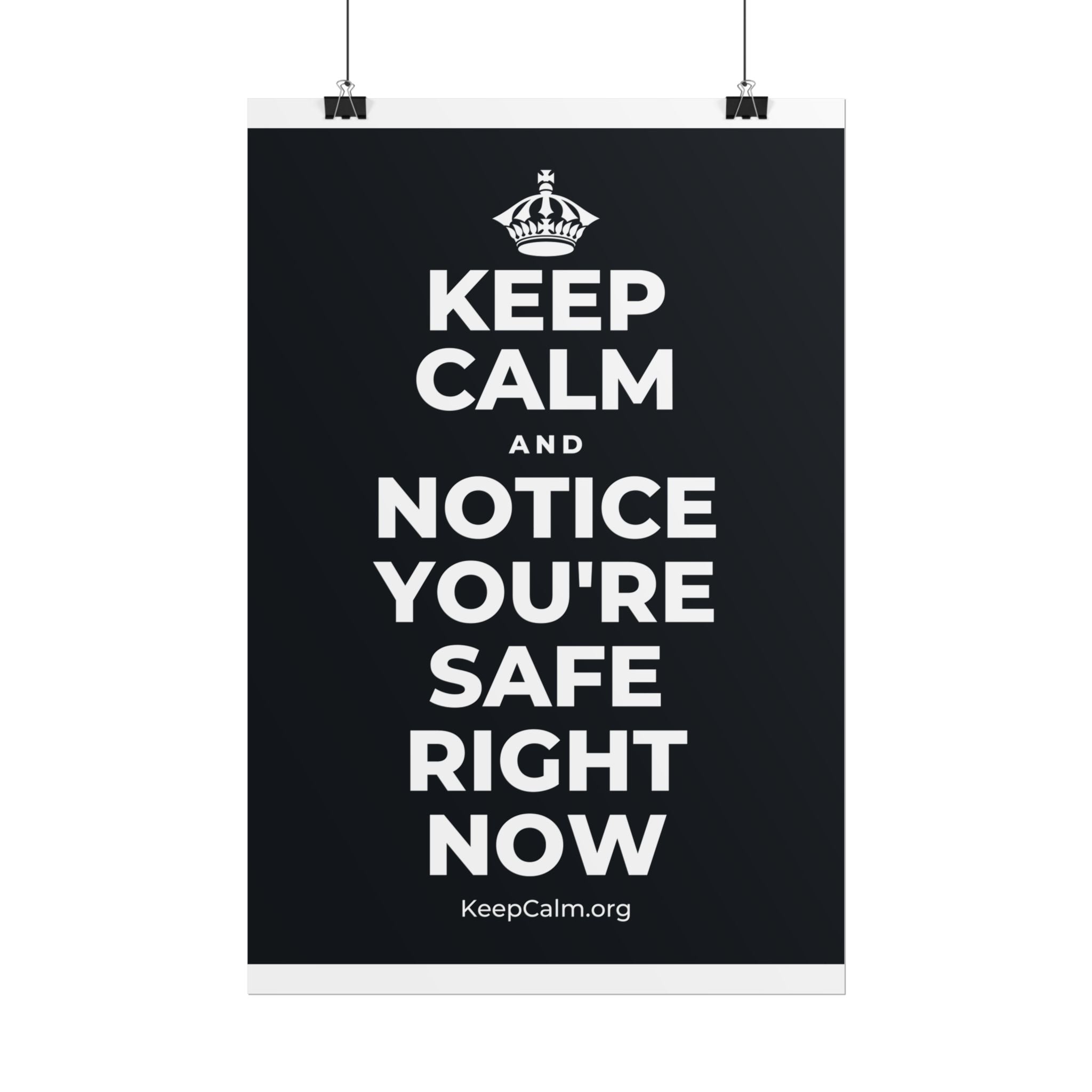 KEEP CALM AND NOTICE YOU'RE SAFE RIGHT NOW Poster (Dark)