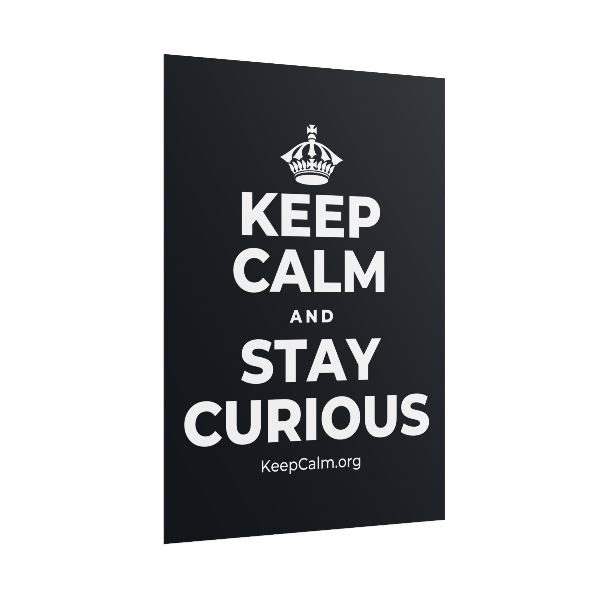 KEEP CALM AND STAY CURIOUS Poster (Dark)