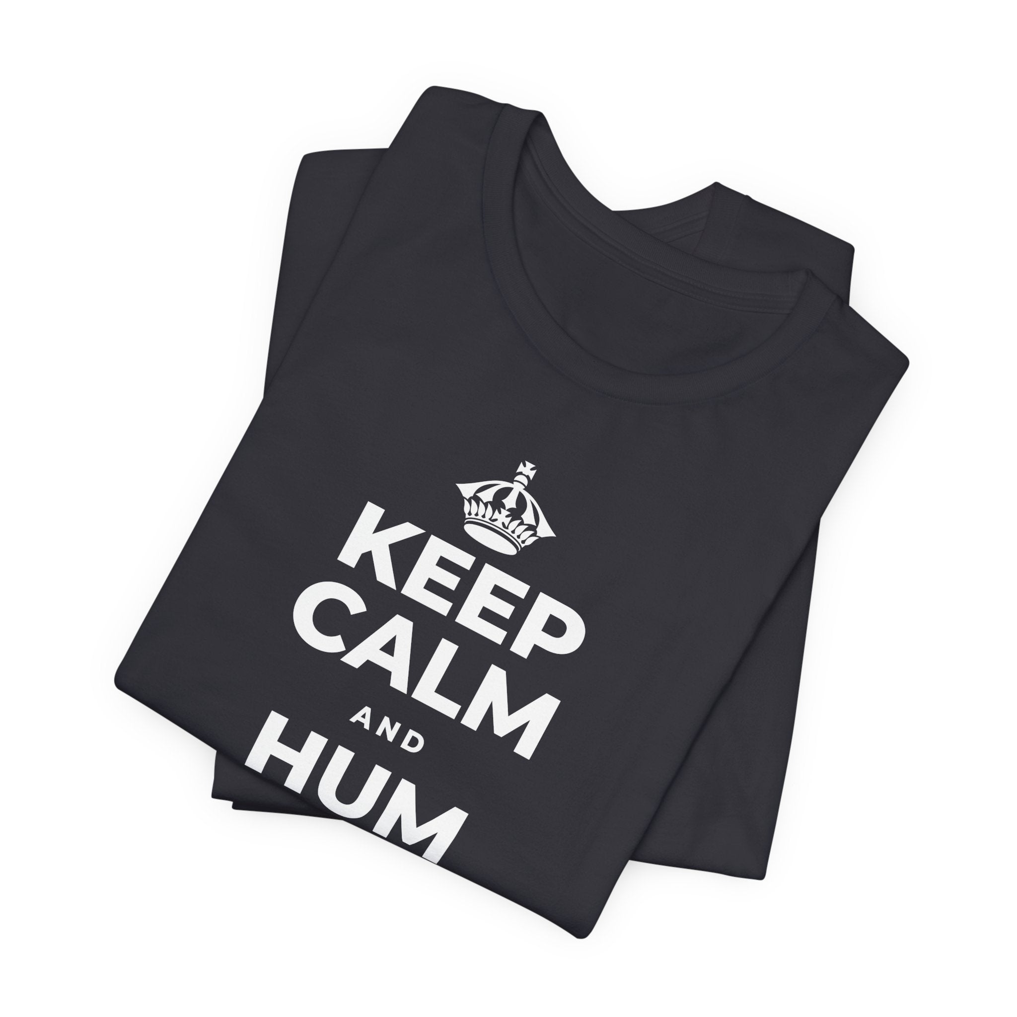 KEEP CALM AND HUM YOUR FAVORITE TUNE T-Shirt (Baby Blue–Silver)