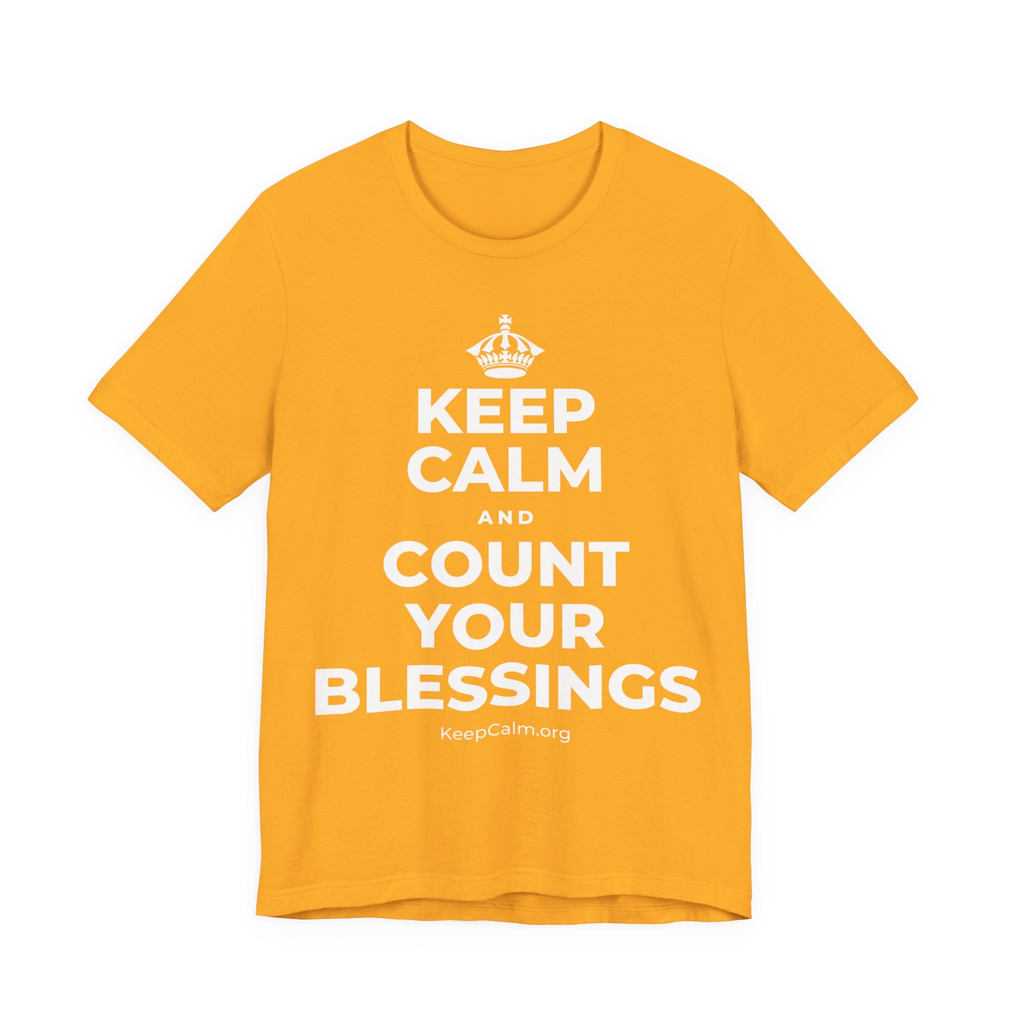 KEEP CALM AND COUNT YOUR BLESSINGS T-Shirt (Baby Blue–Silver)
