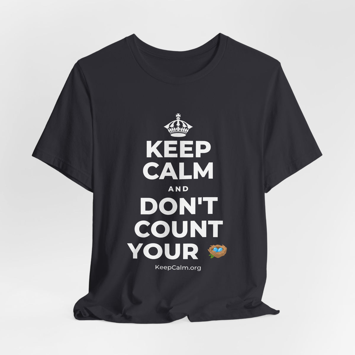 KEEP CALM AND DON'T COUNT YOUR 🪺 T-Shirt (Baby Blue–Silver)